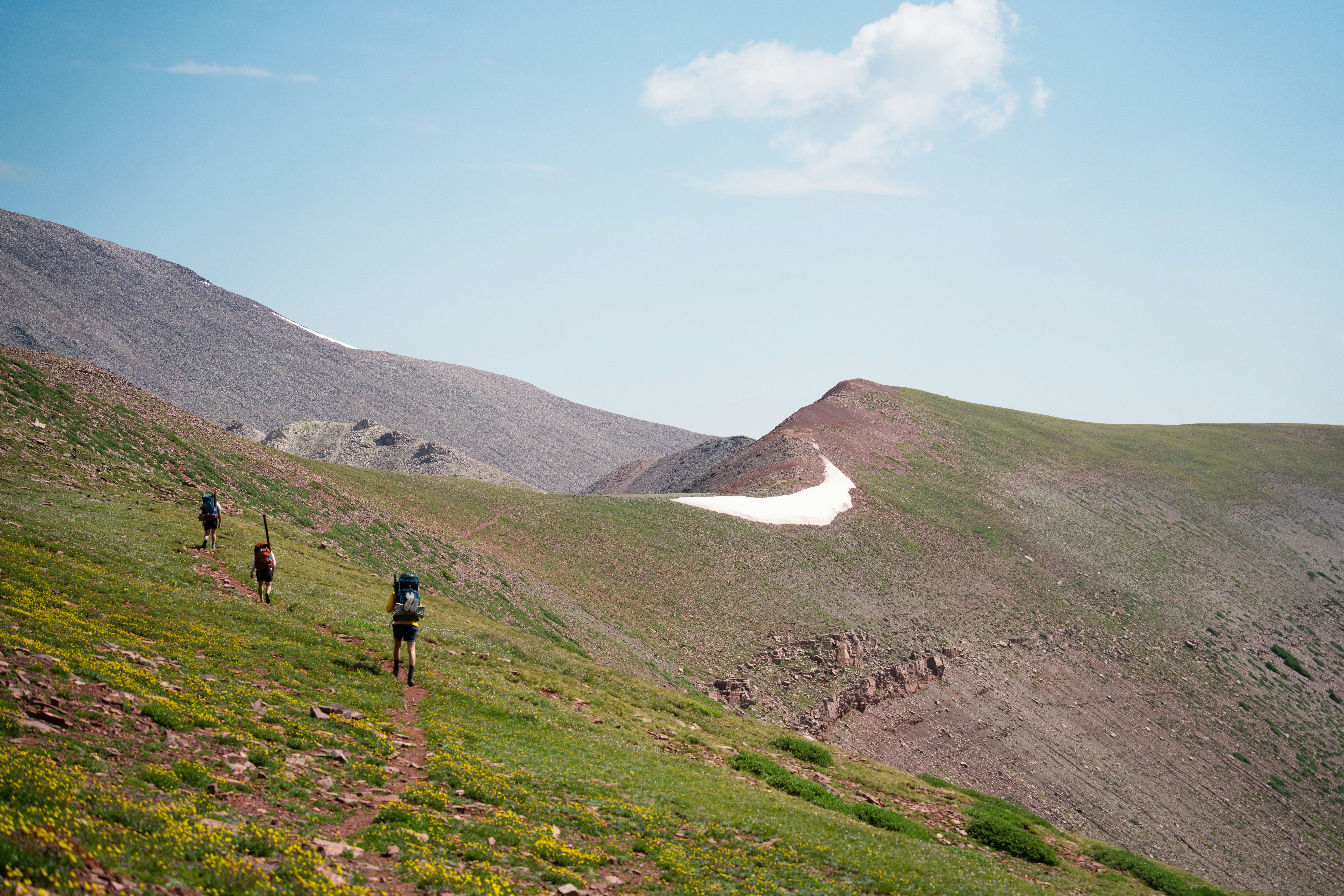 A group of people hiking up a hill
