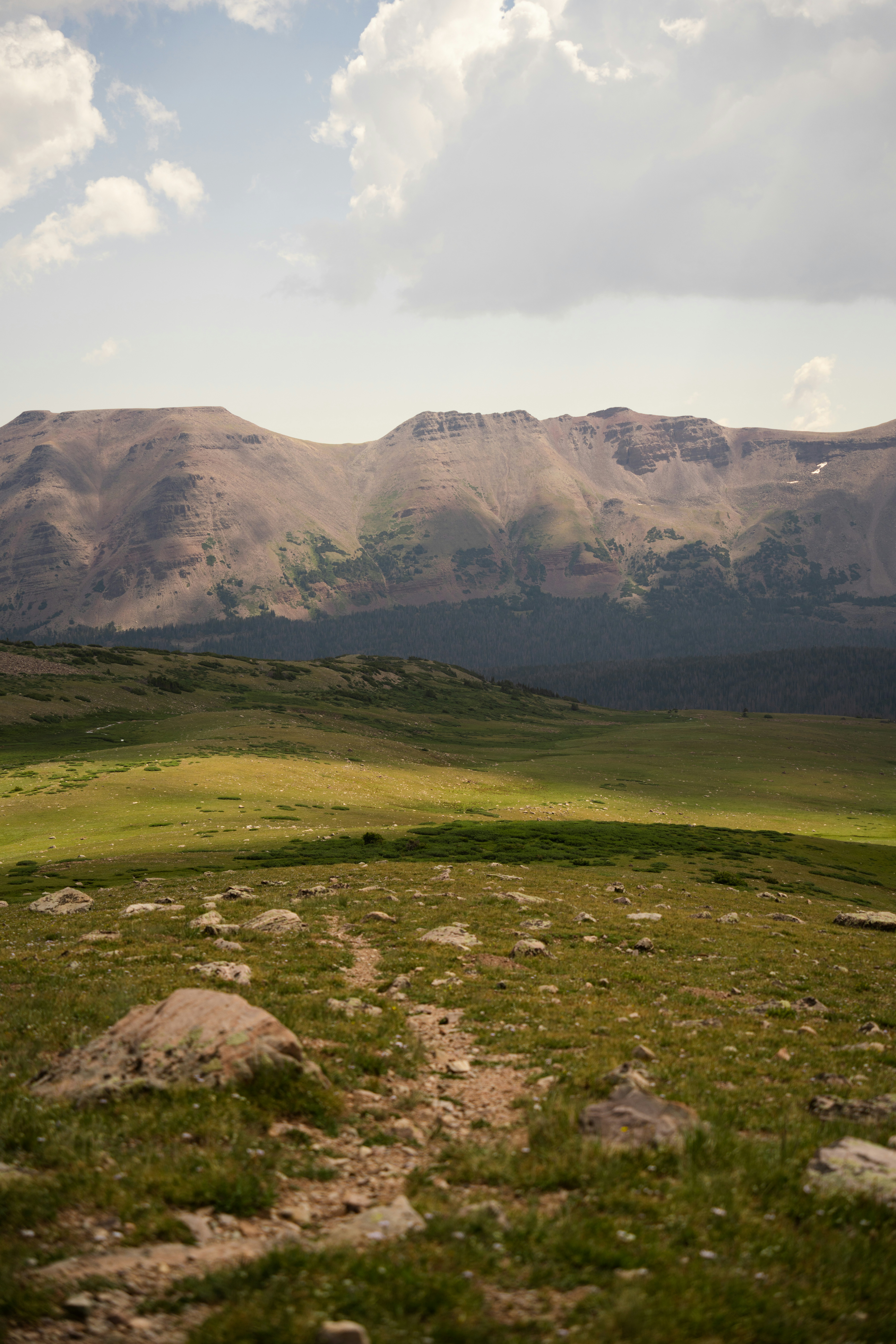 Photo by alexmoliski