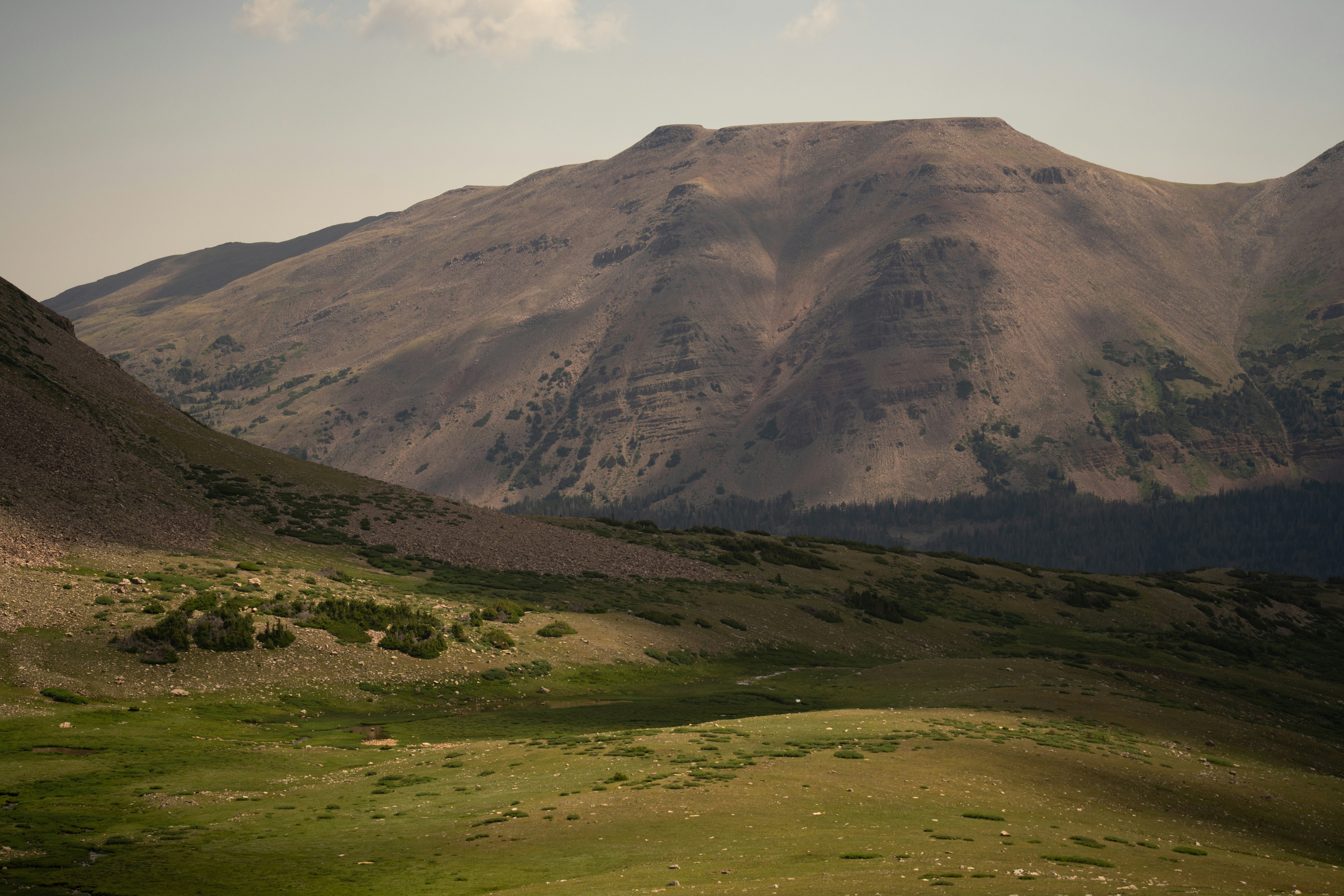 Photo by alexmoliski