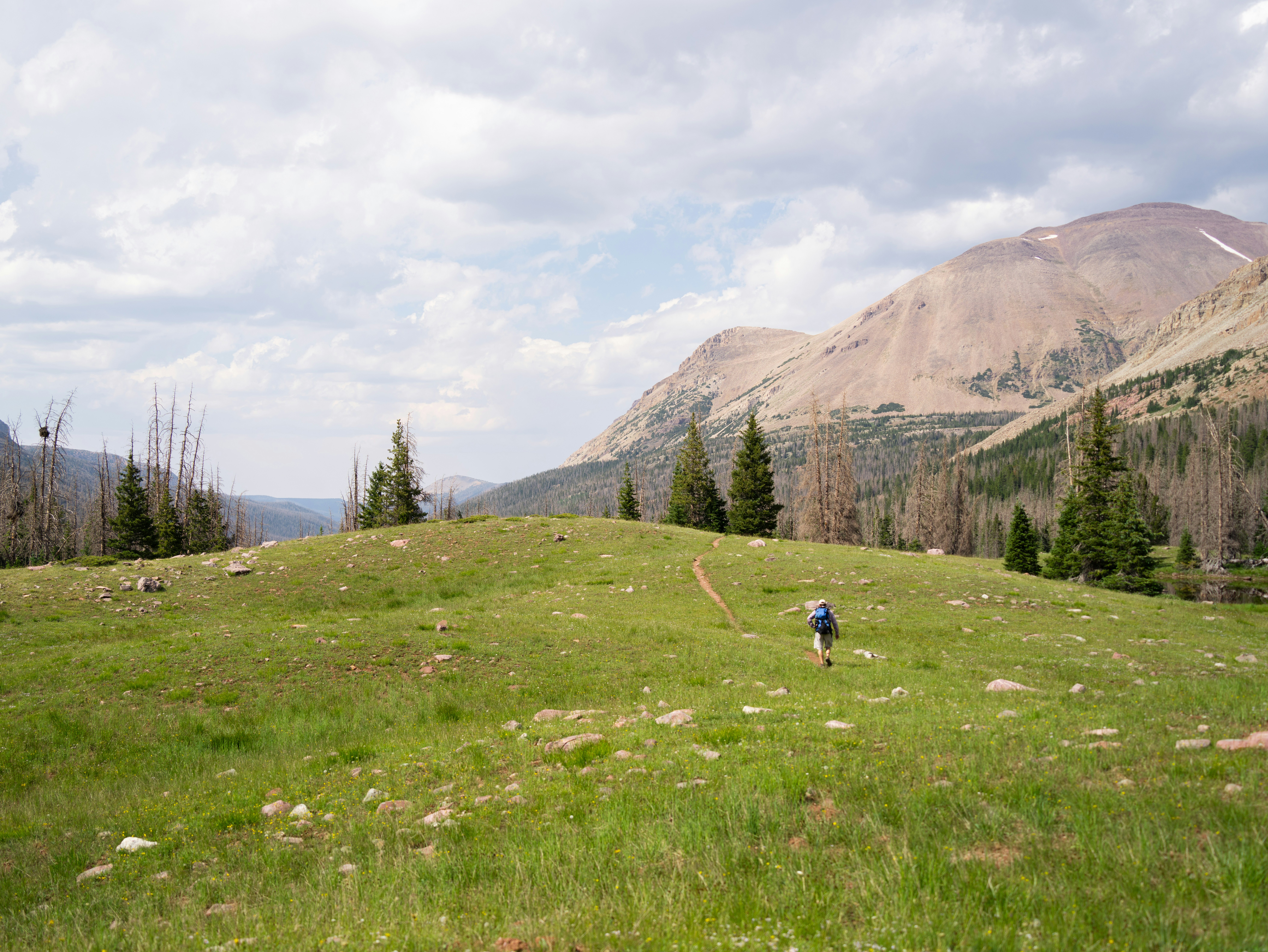A person hiking up a grassy hill with mountains in the background