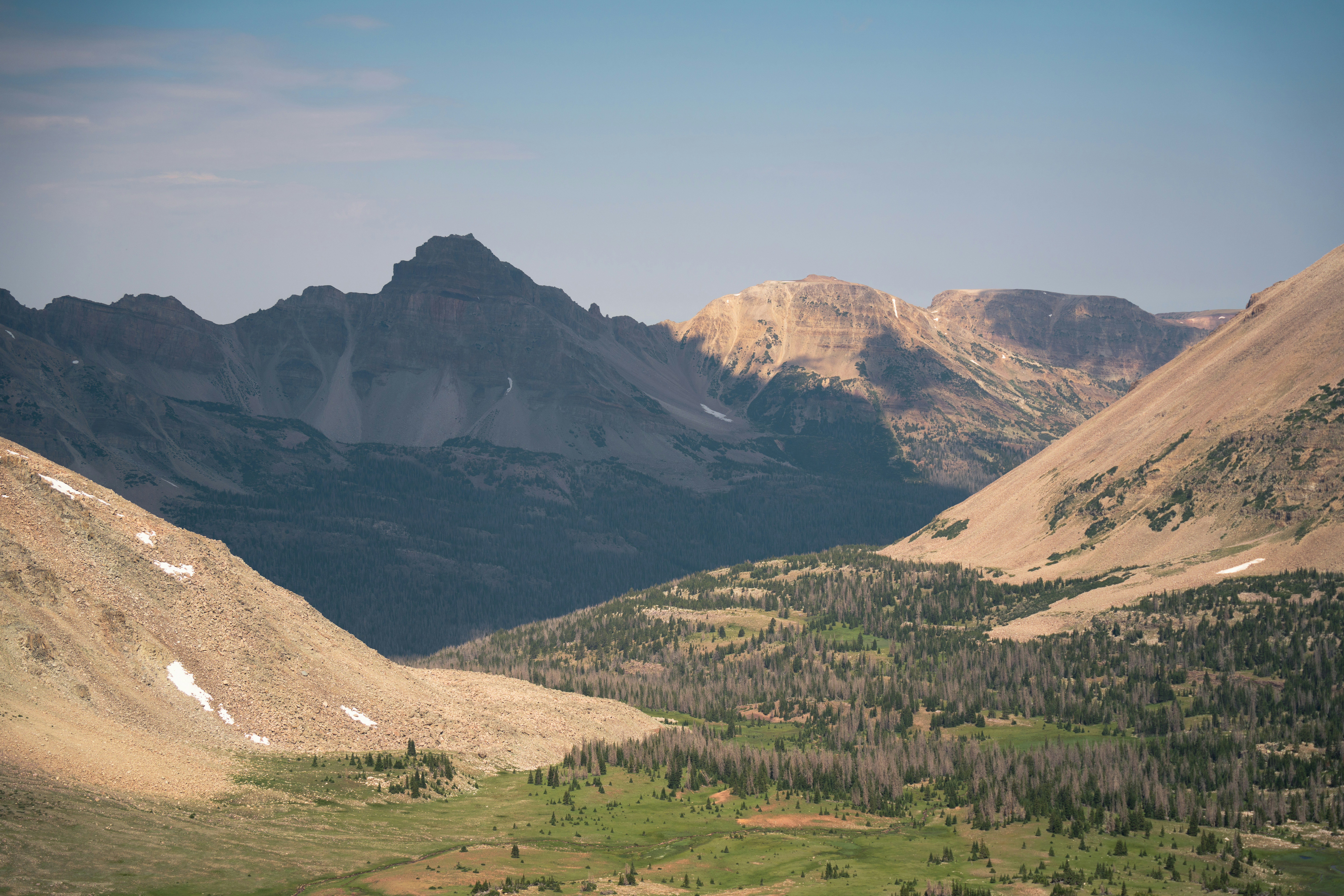 Photo by alexmoliski