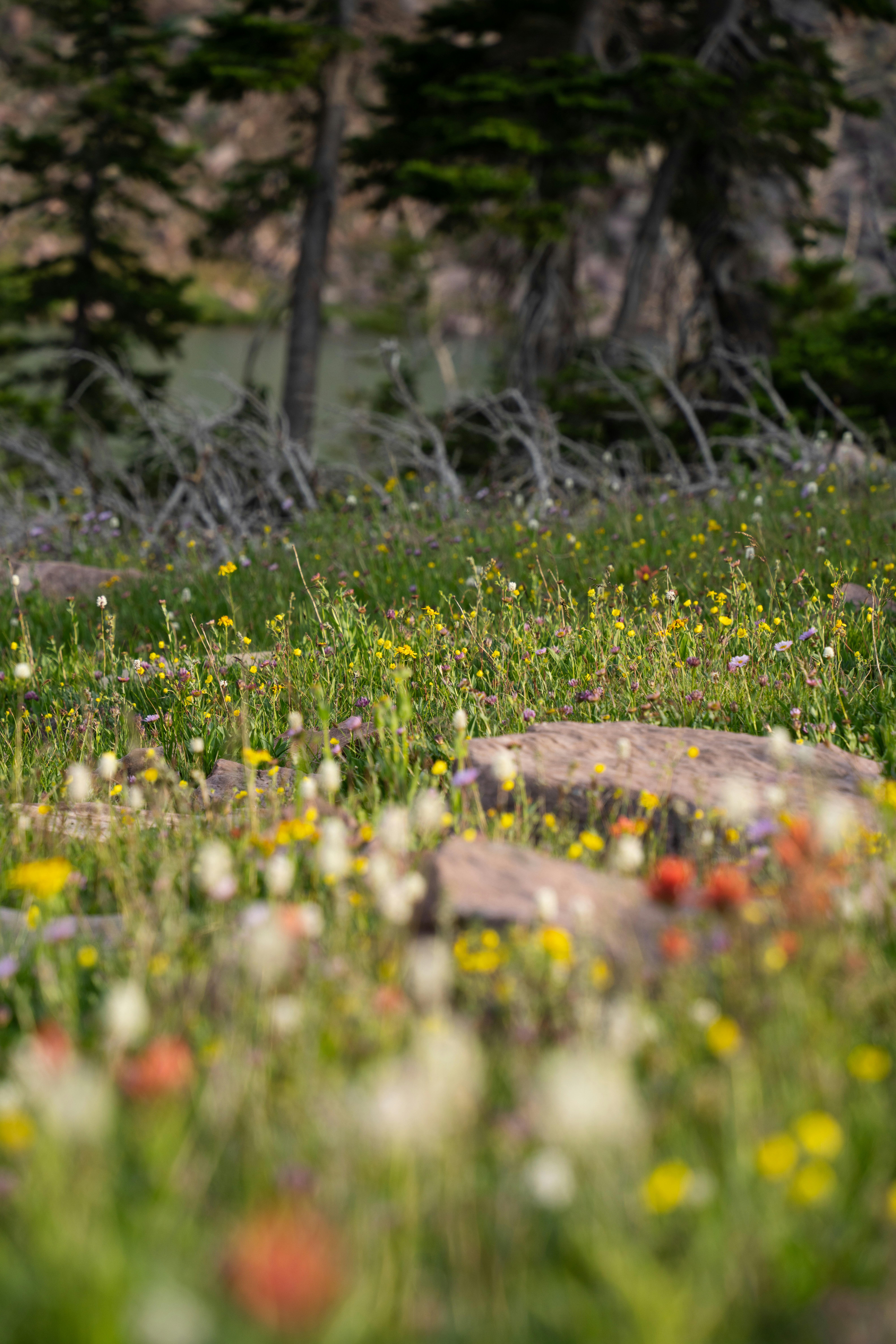 Photo by alexmoliski