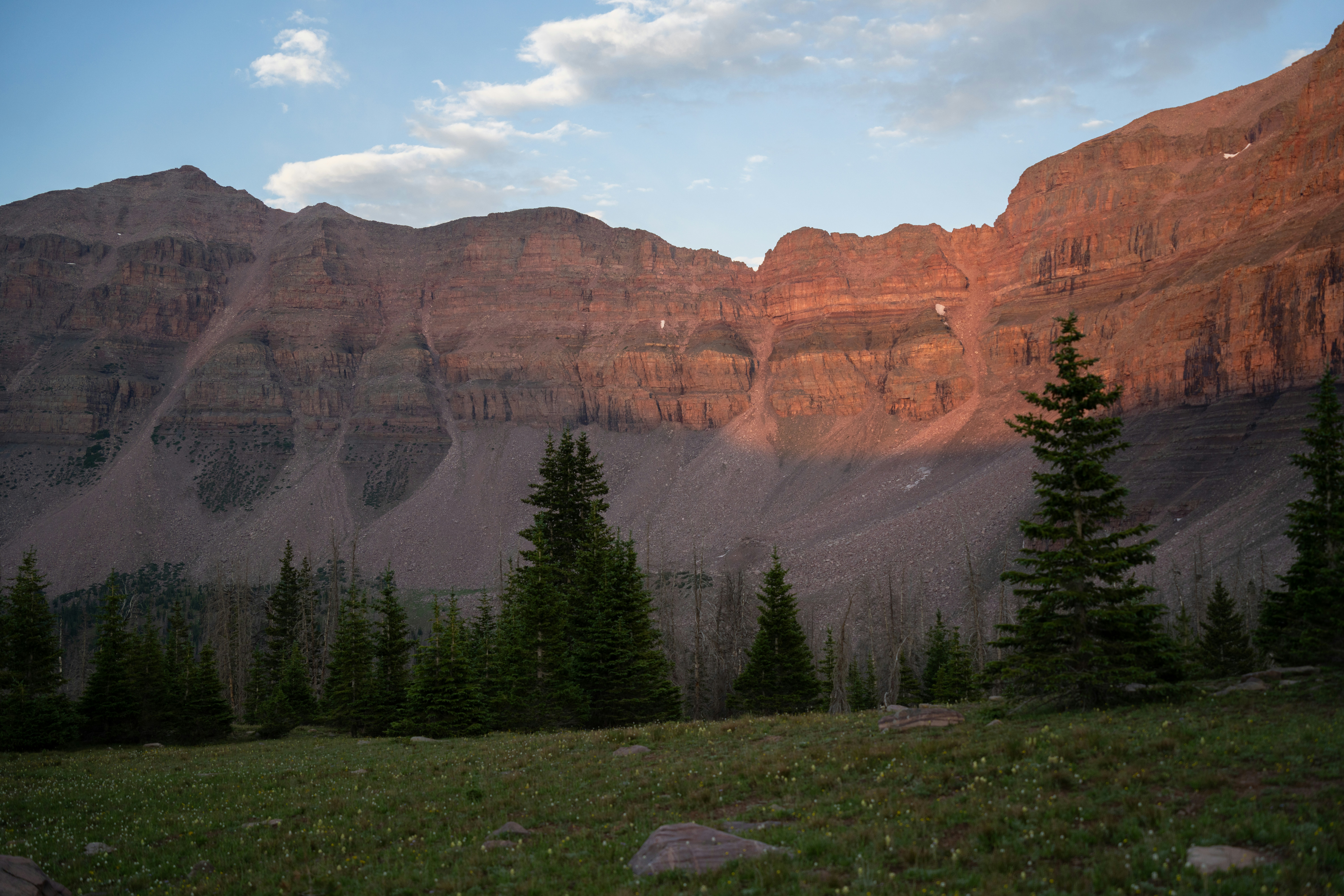 Photo by alexmoliski