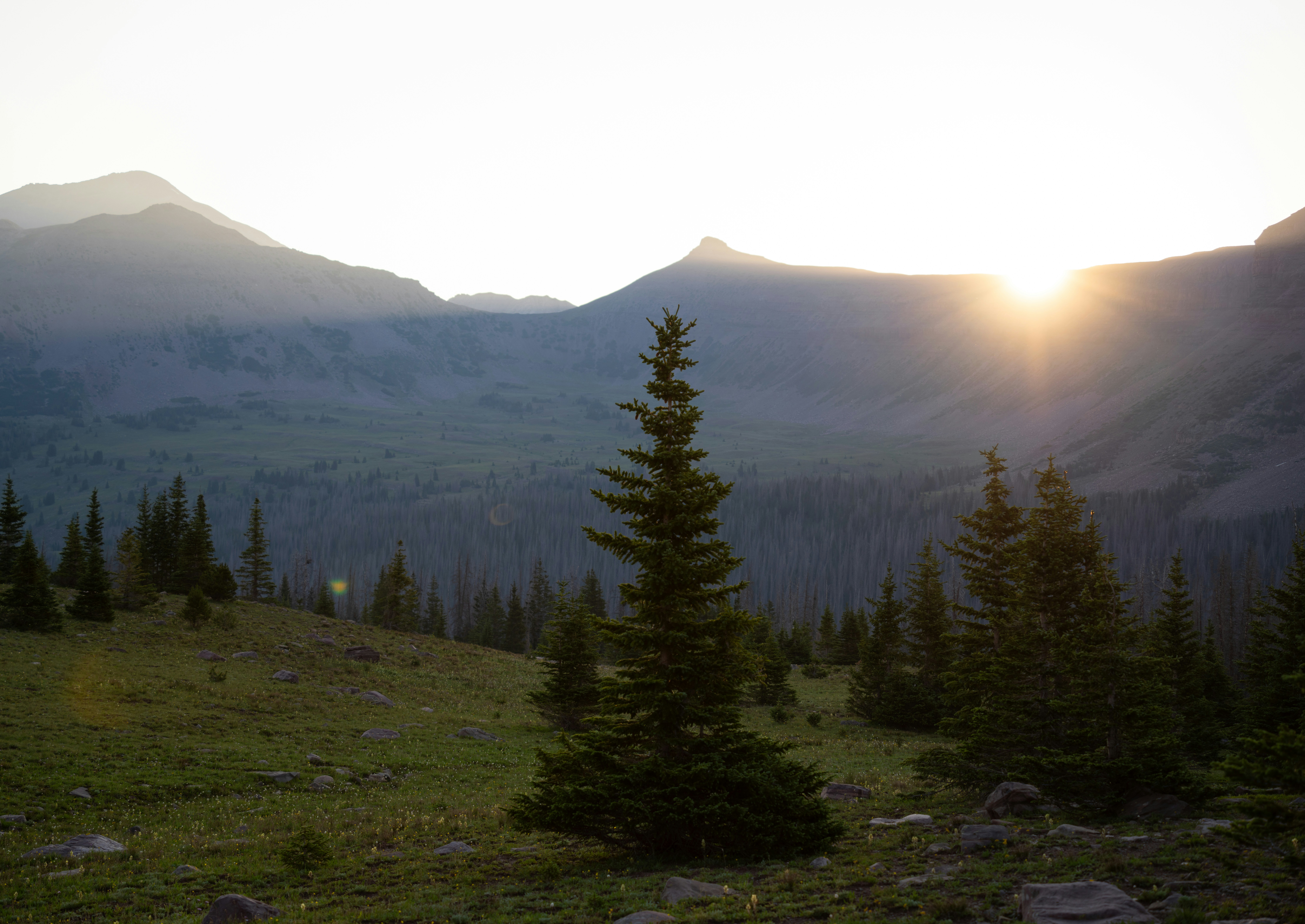 Photo by alexmoliski