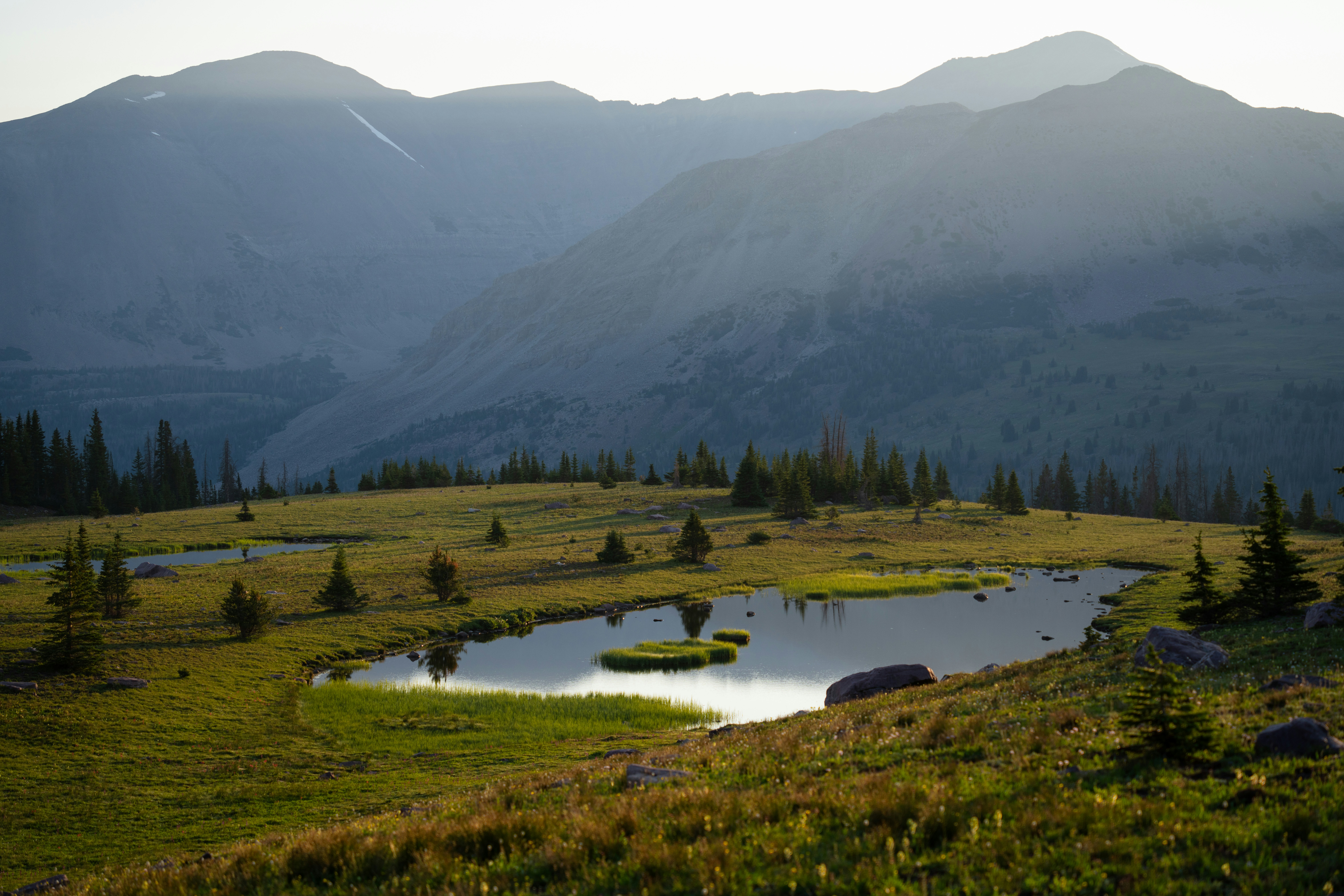 Photo by alexmoliski