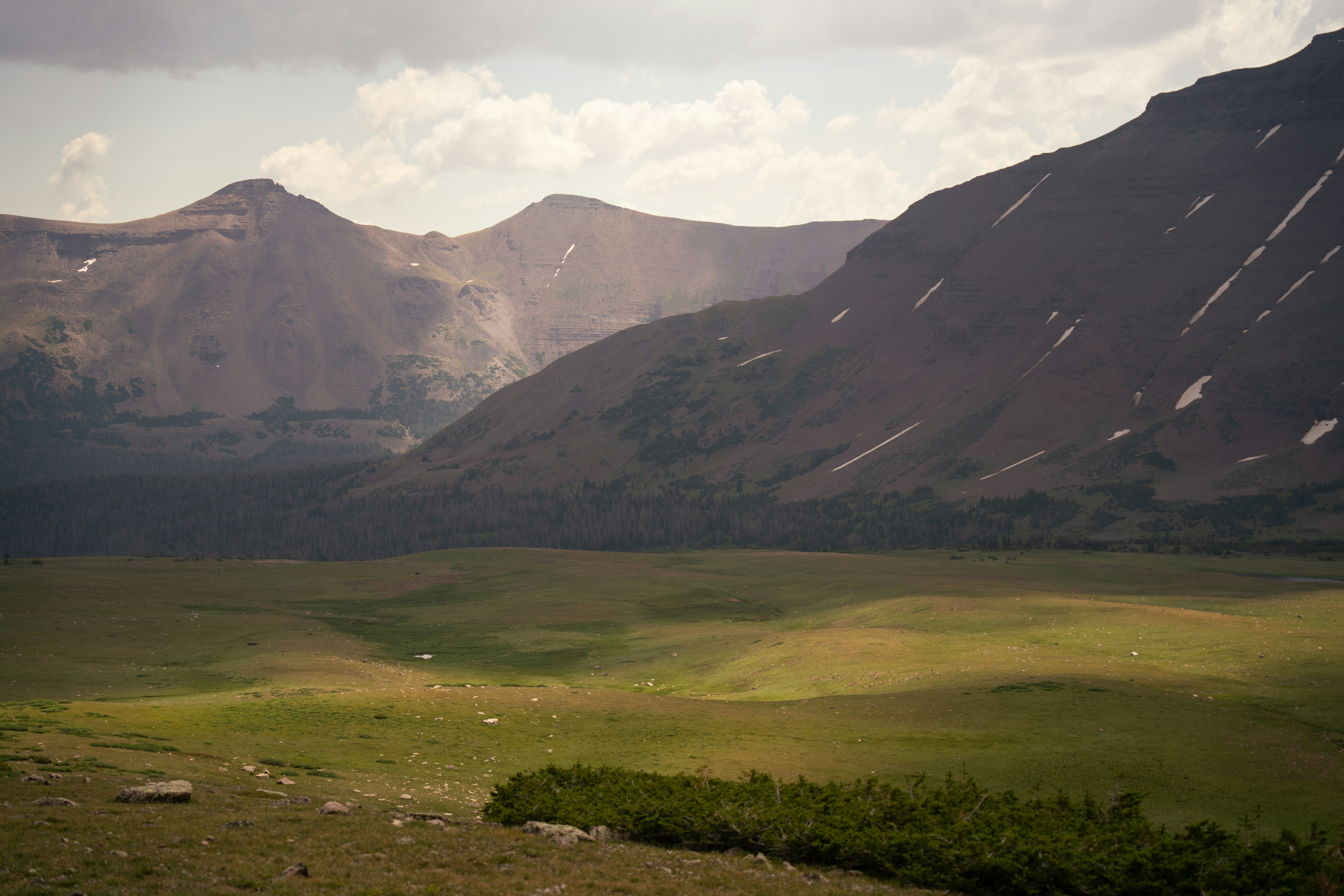 Photo by alexmoliski