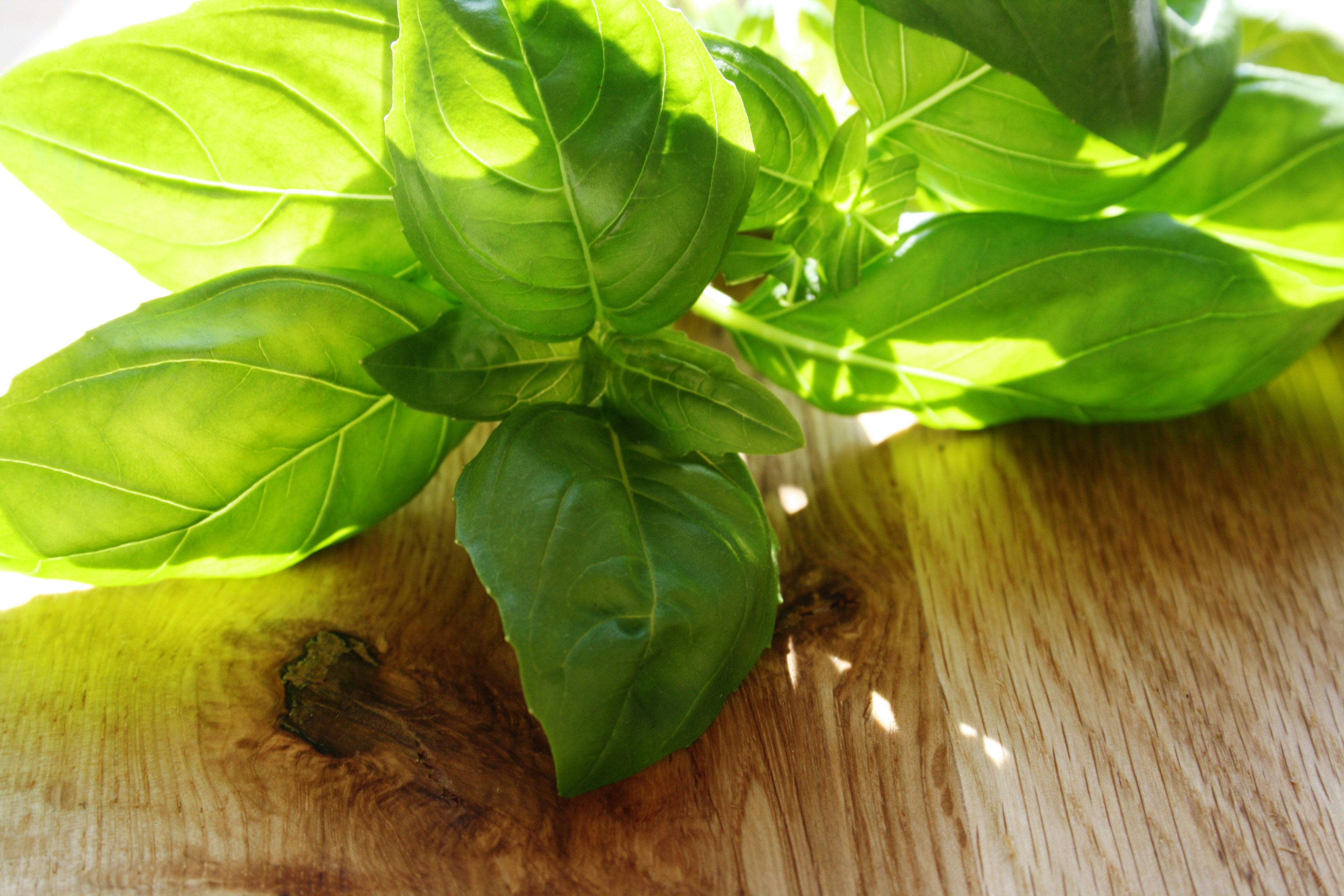 Photo by littlegemstudio