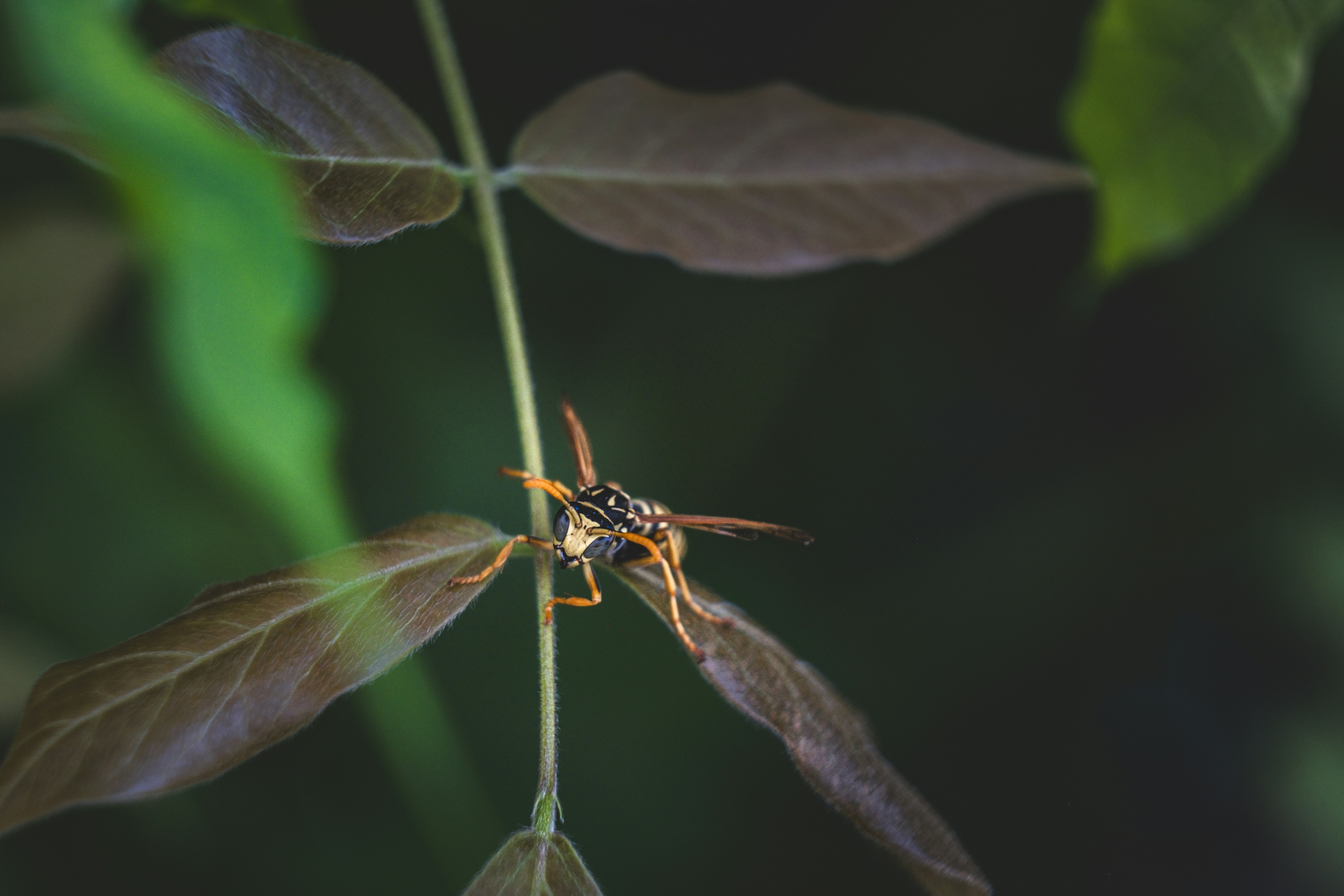 Photo by francesco_ungaro