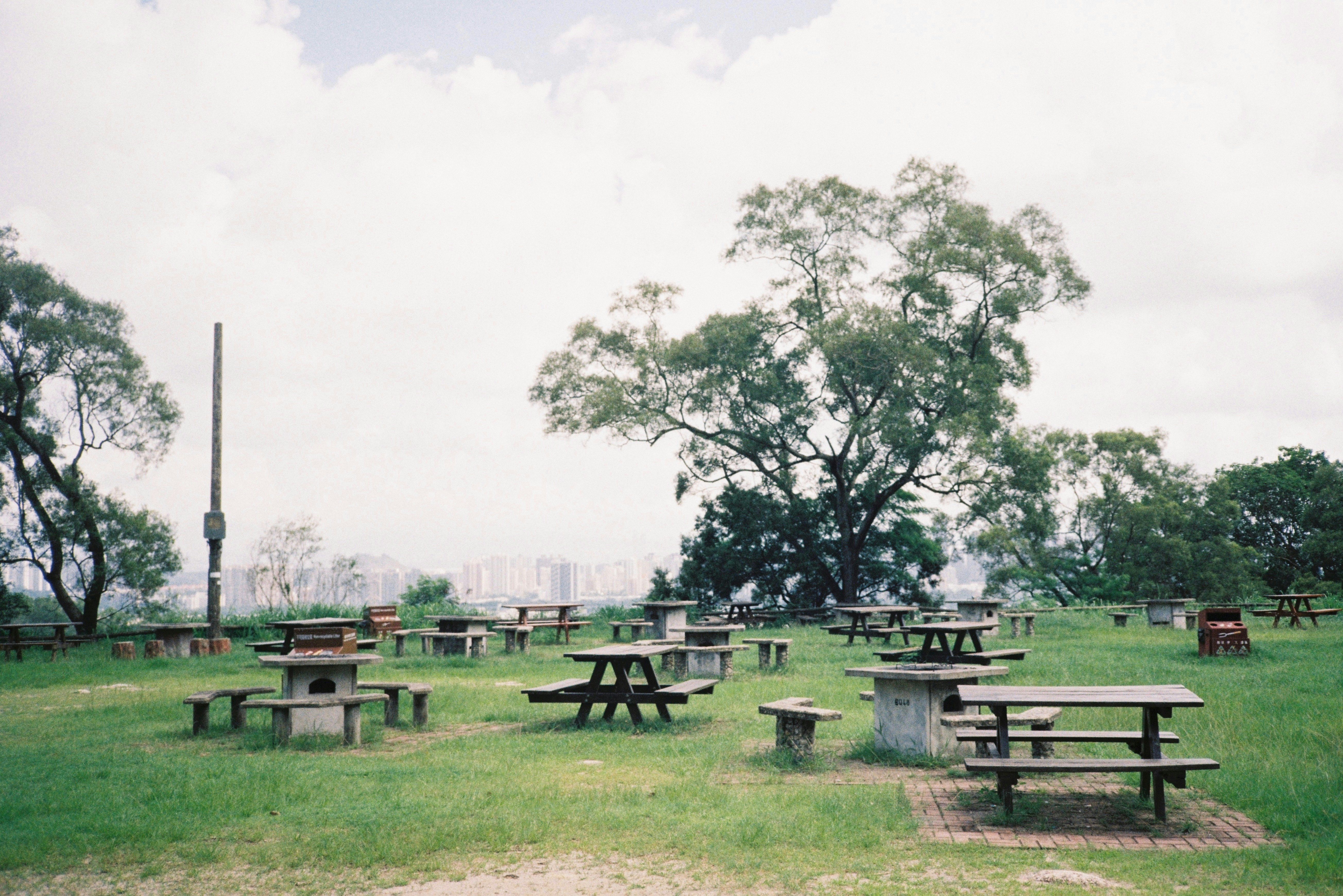 Grassy field with picnic tables
