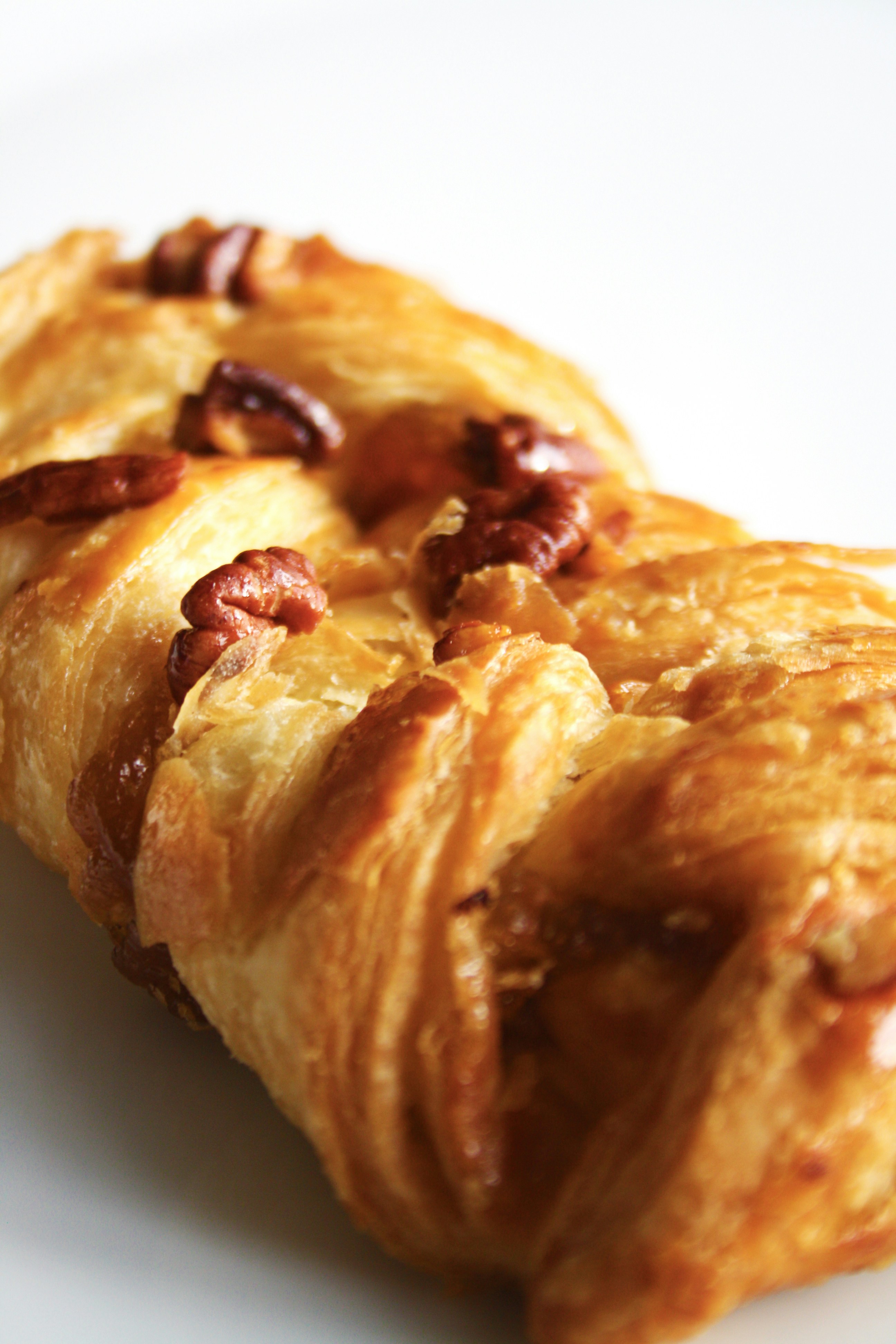 Photo by littlegemstudio