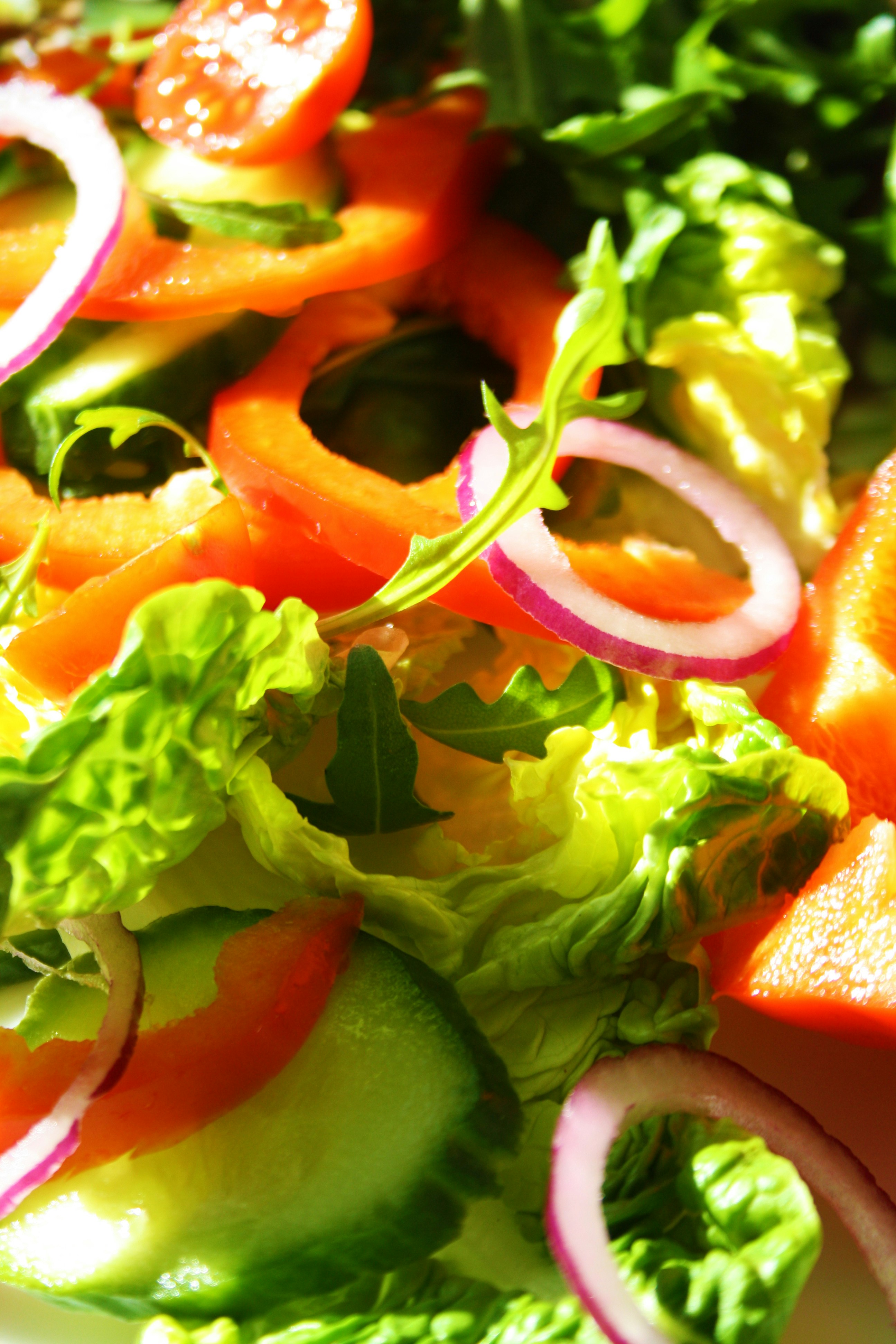A salad with lettuce, carrots, cucumbers and onions