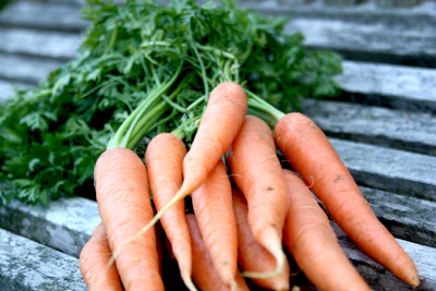 Growing Carrot Gajar at Home India Deep Container
