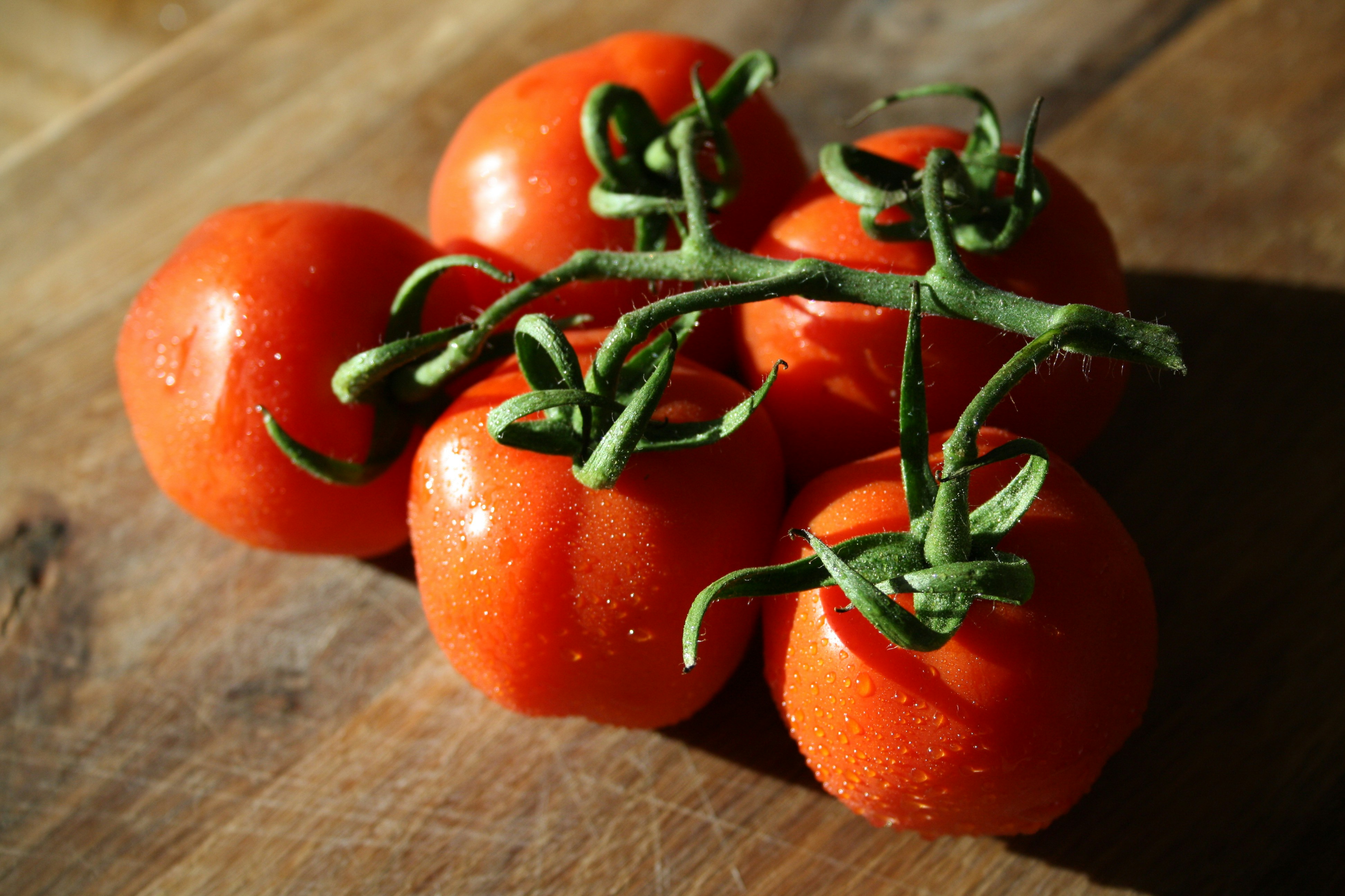 Photo by littlegemstudio