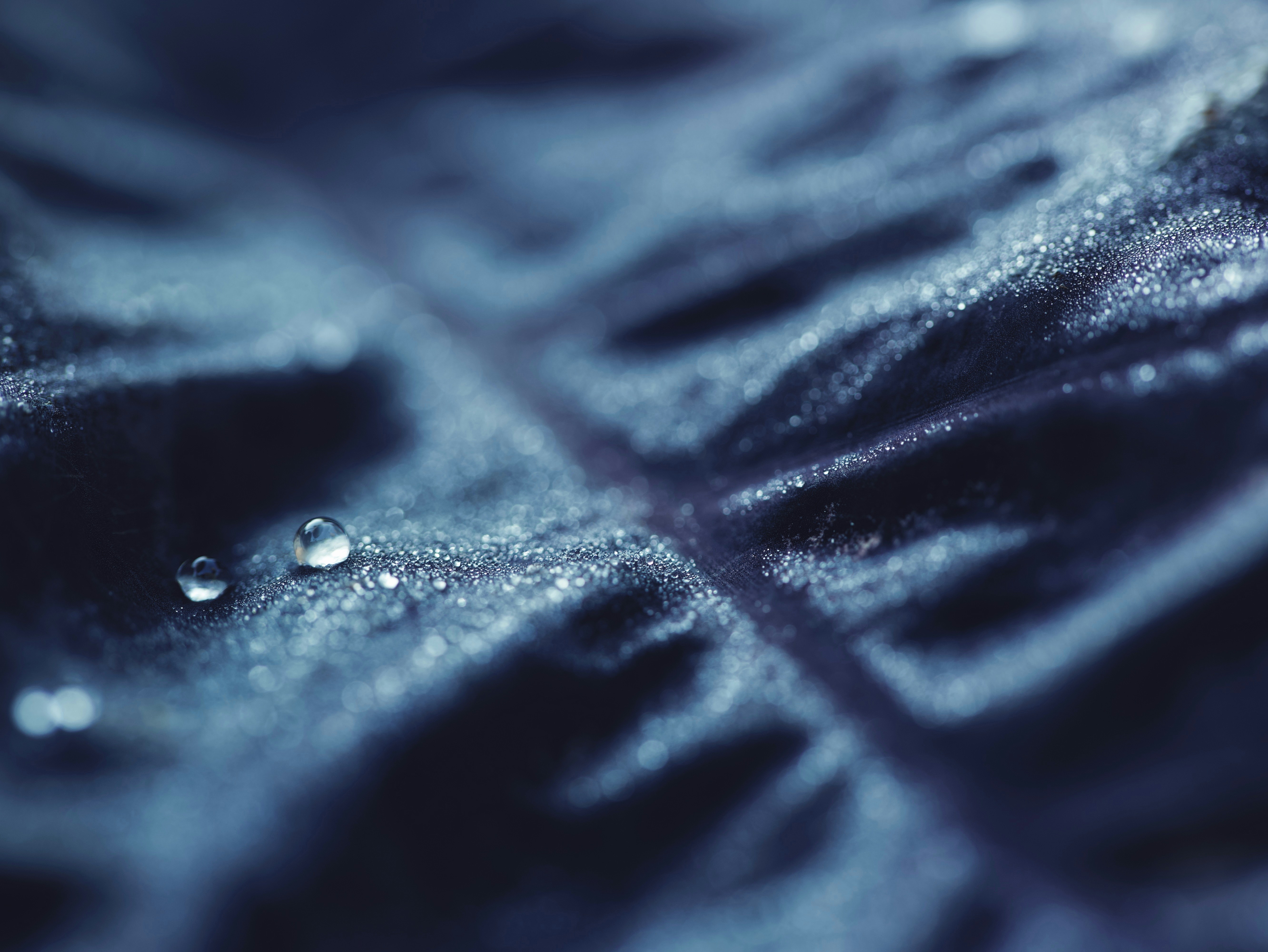 Photo by aaronburden