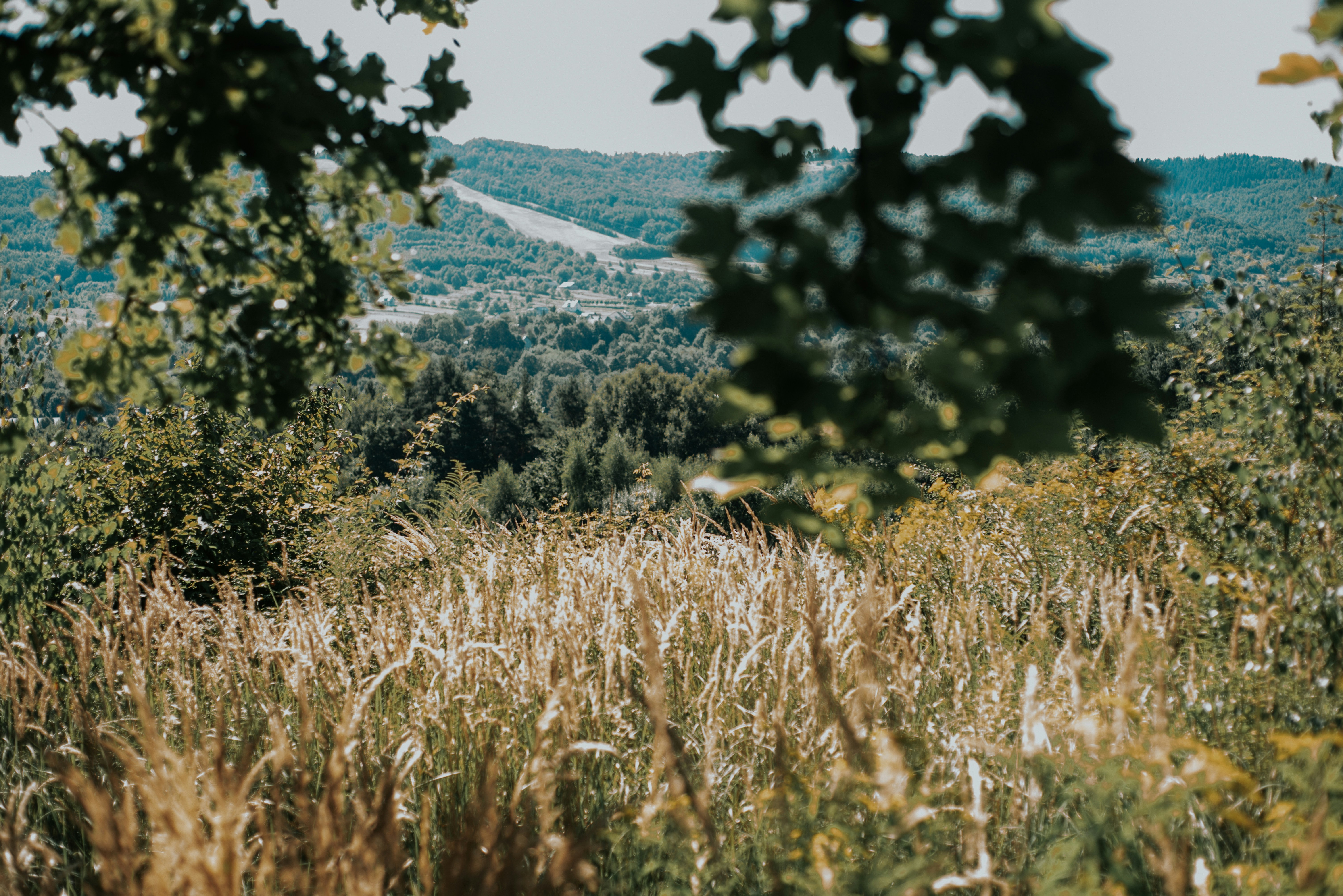 Photo by domowe_ustronie