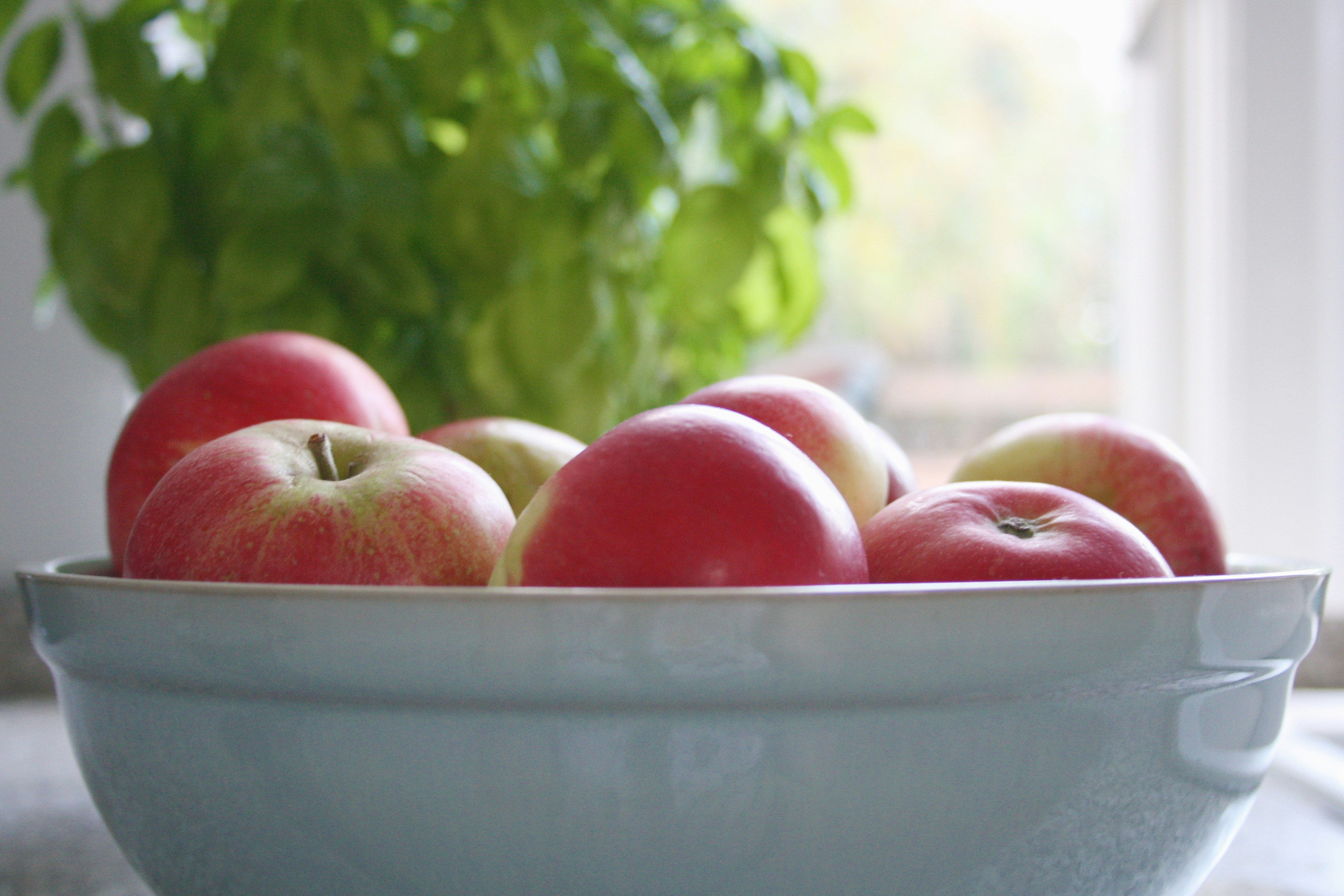 Photo by littlegemstudio