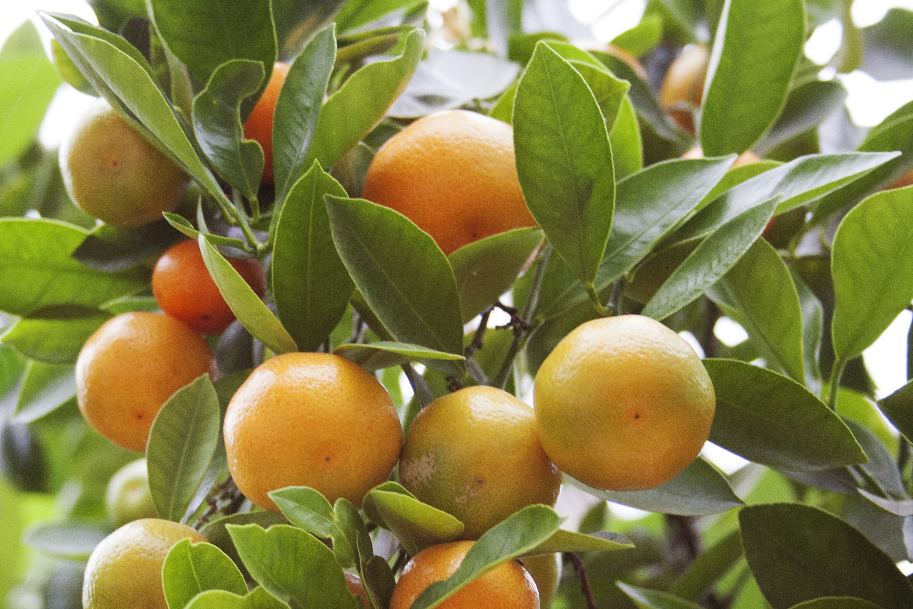 Photo by littlegemstudio