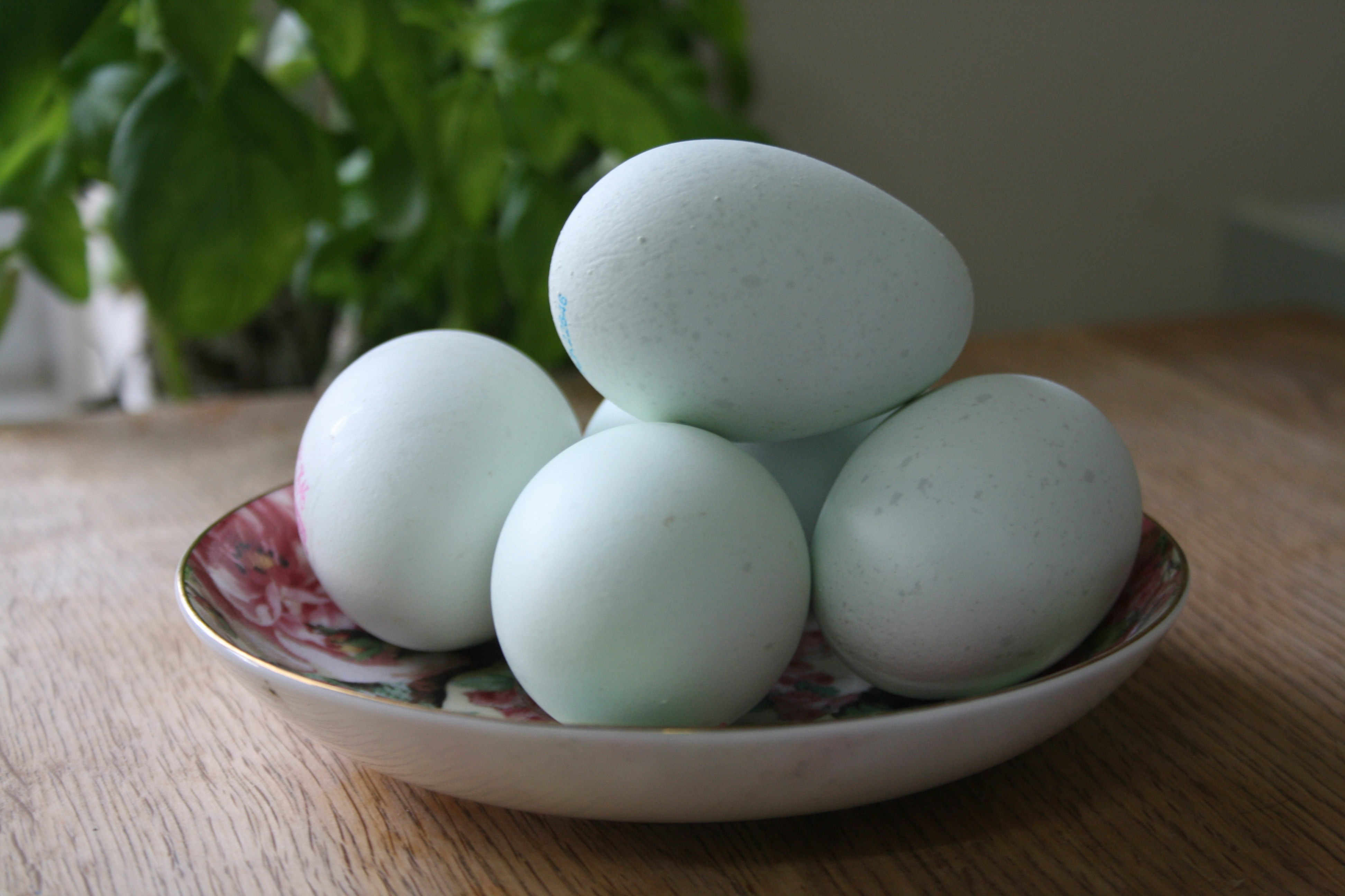 Photo by littlegemstudio