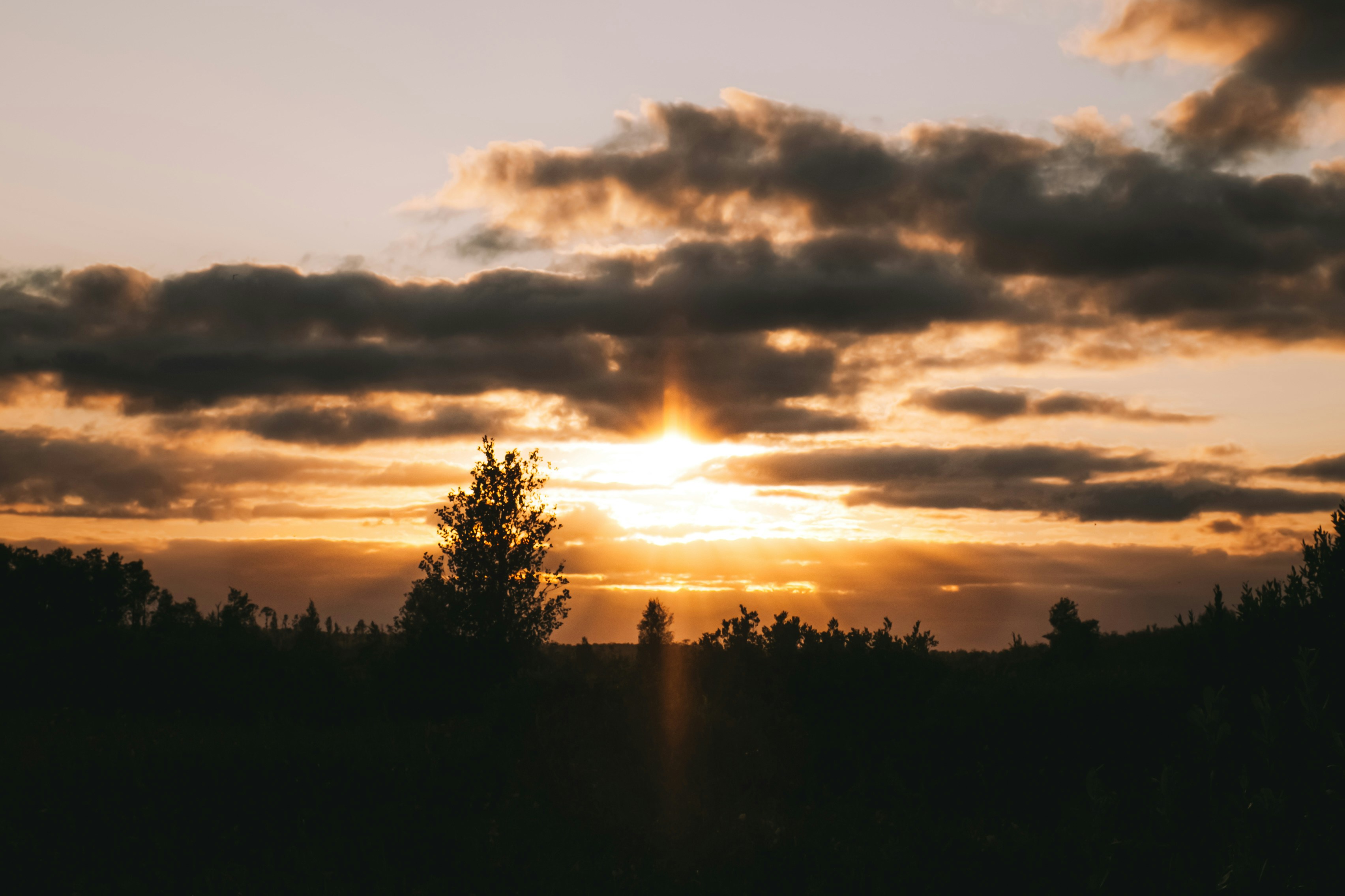 Photo by emlijaskrupska