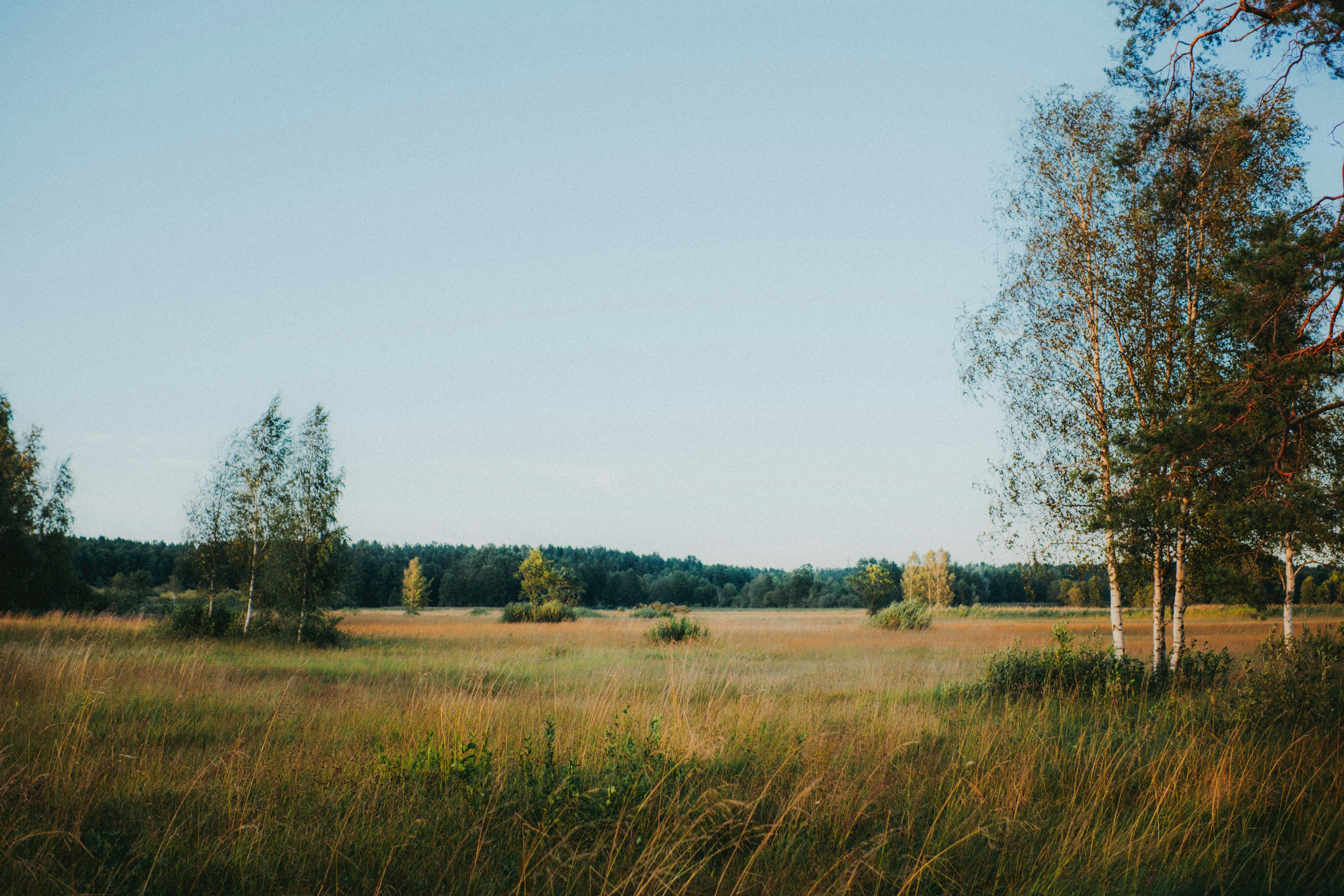 Photo by emlijaskrupska