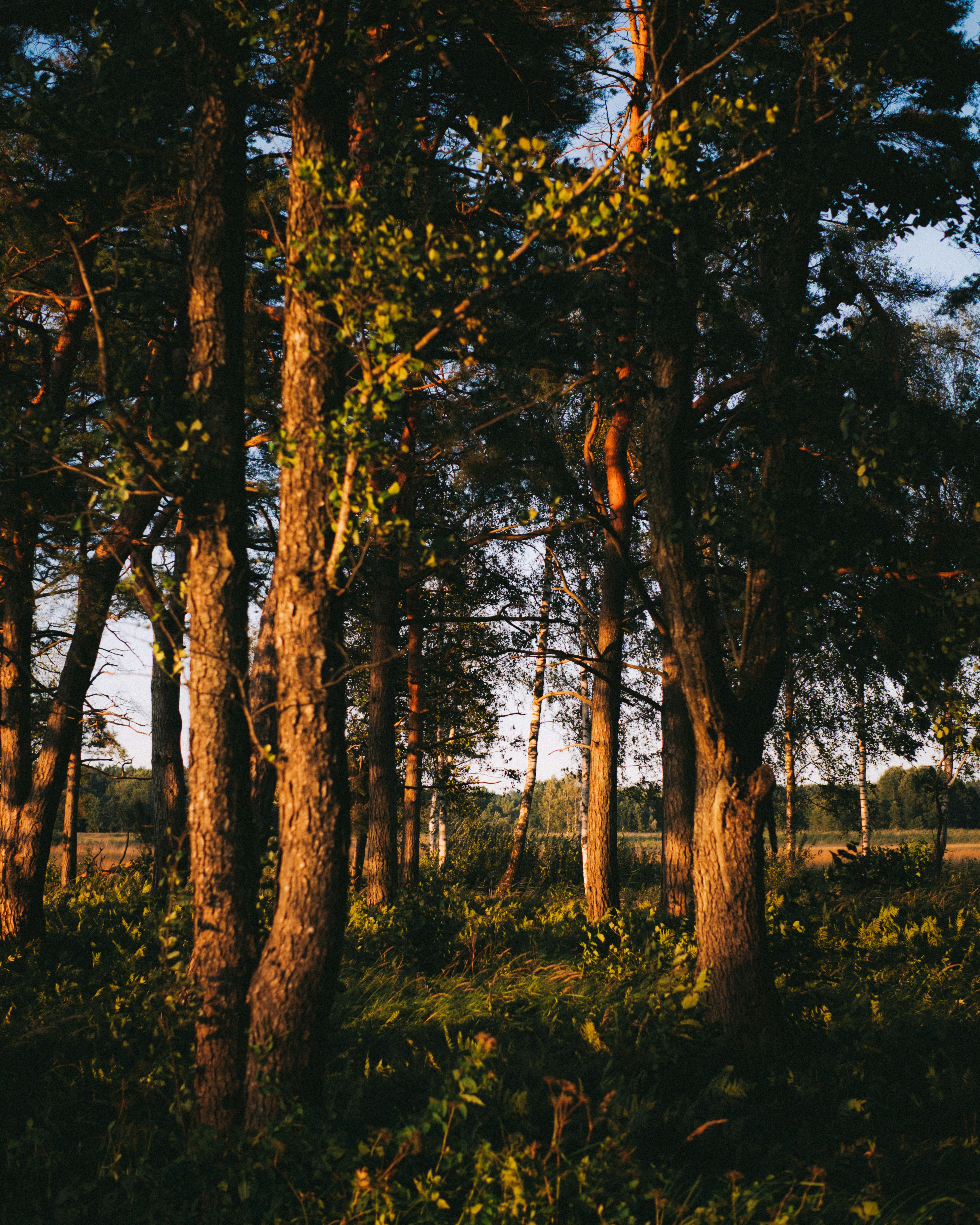 Photo by emlijaskrupska