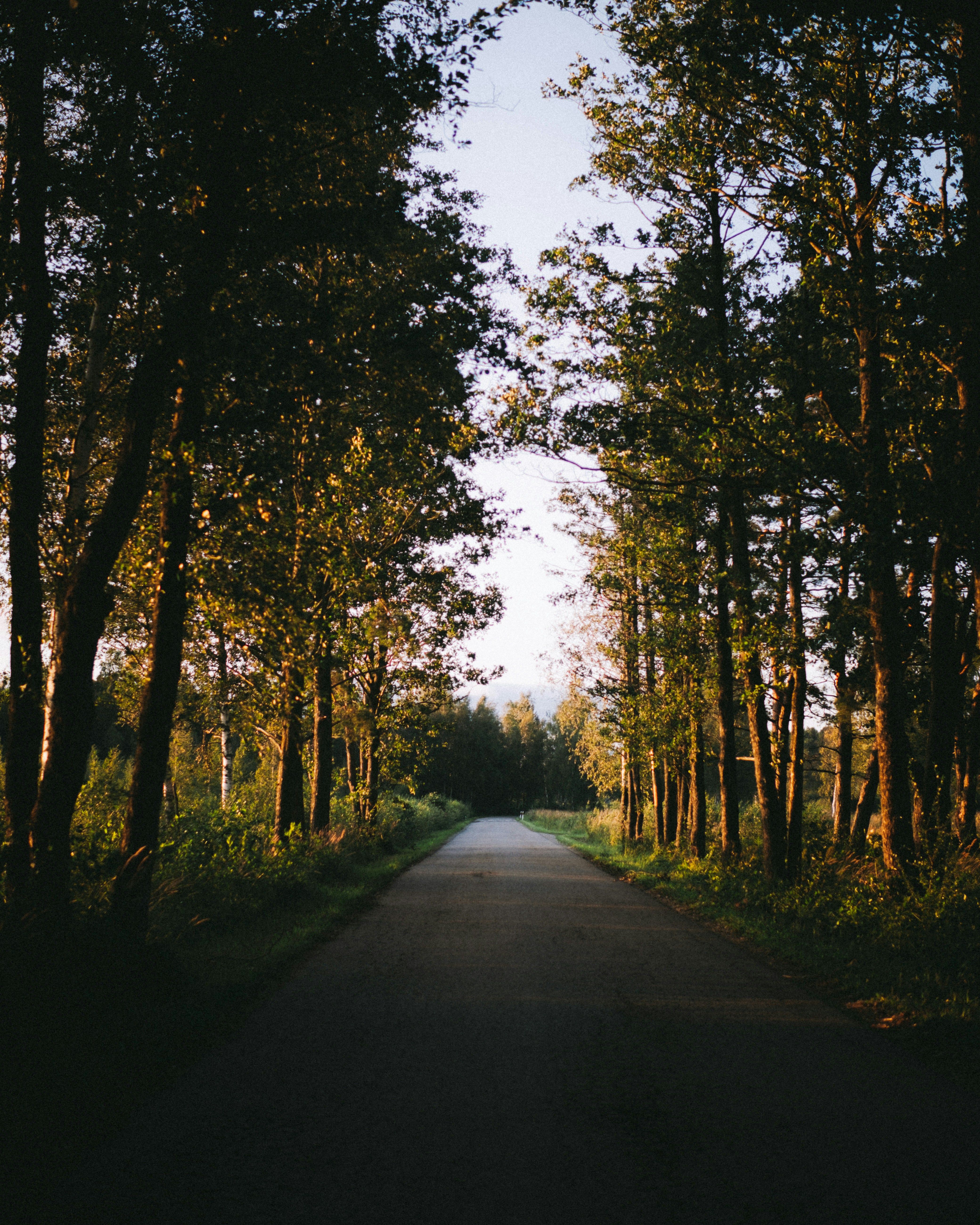 Photo by emlijaskrupska