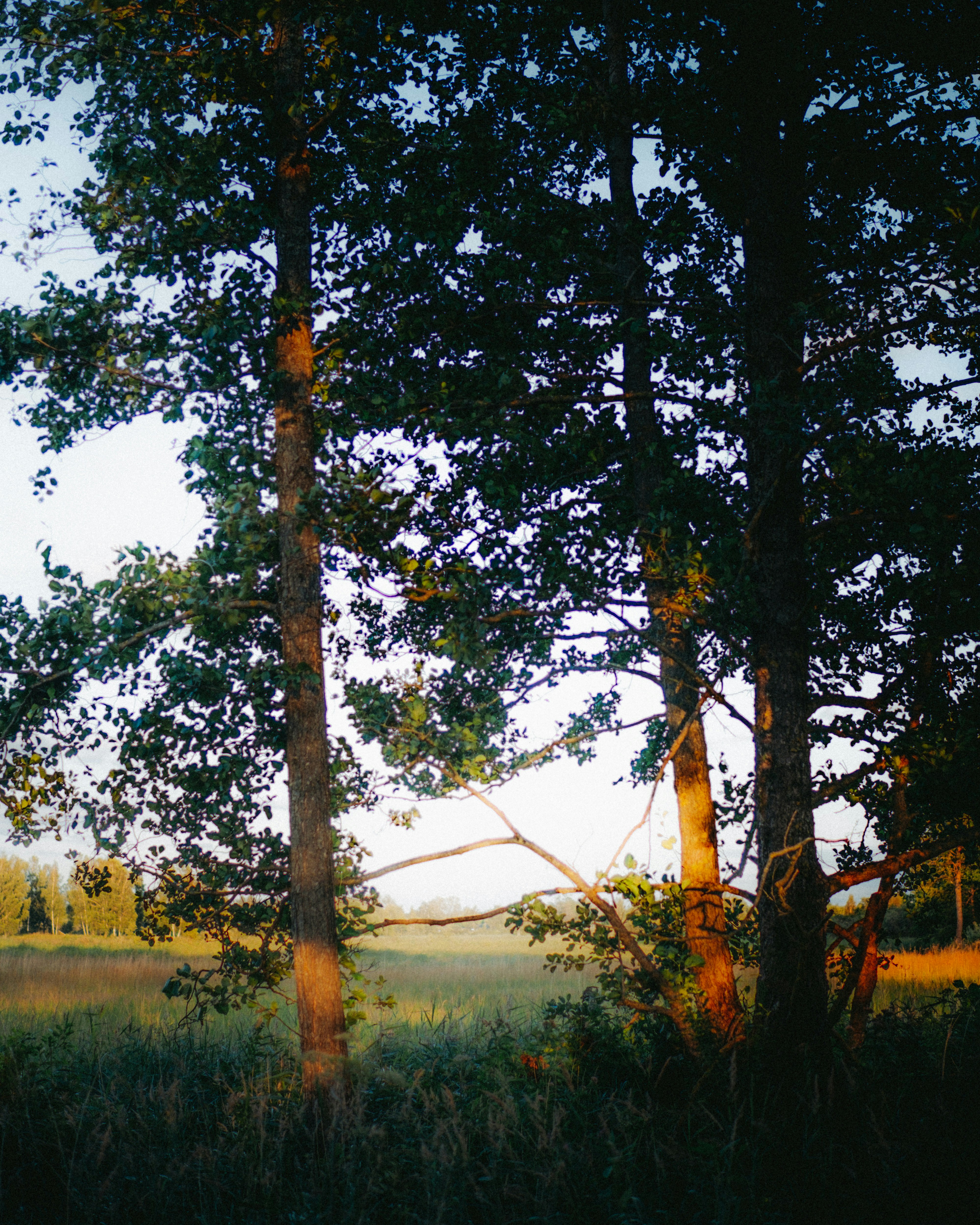 Photo by emlijaskrupska