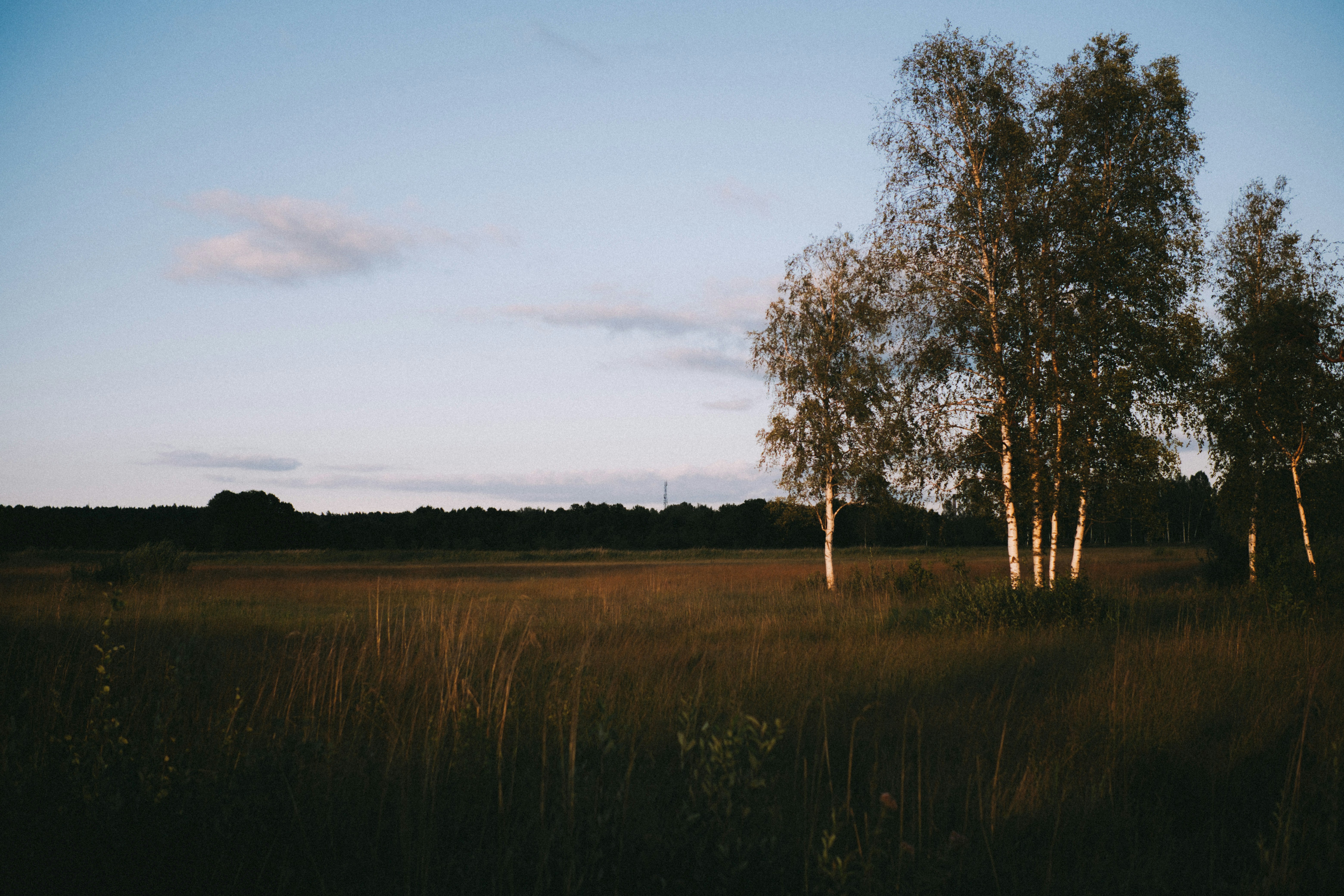 Photo by emlijaskrupska