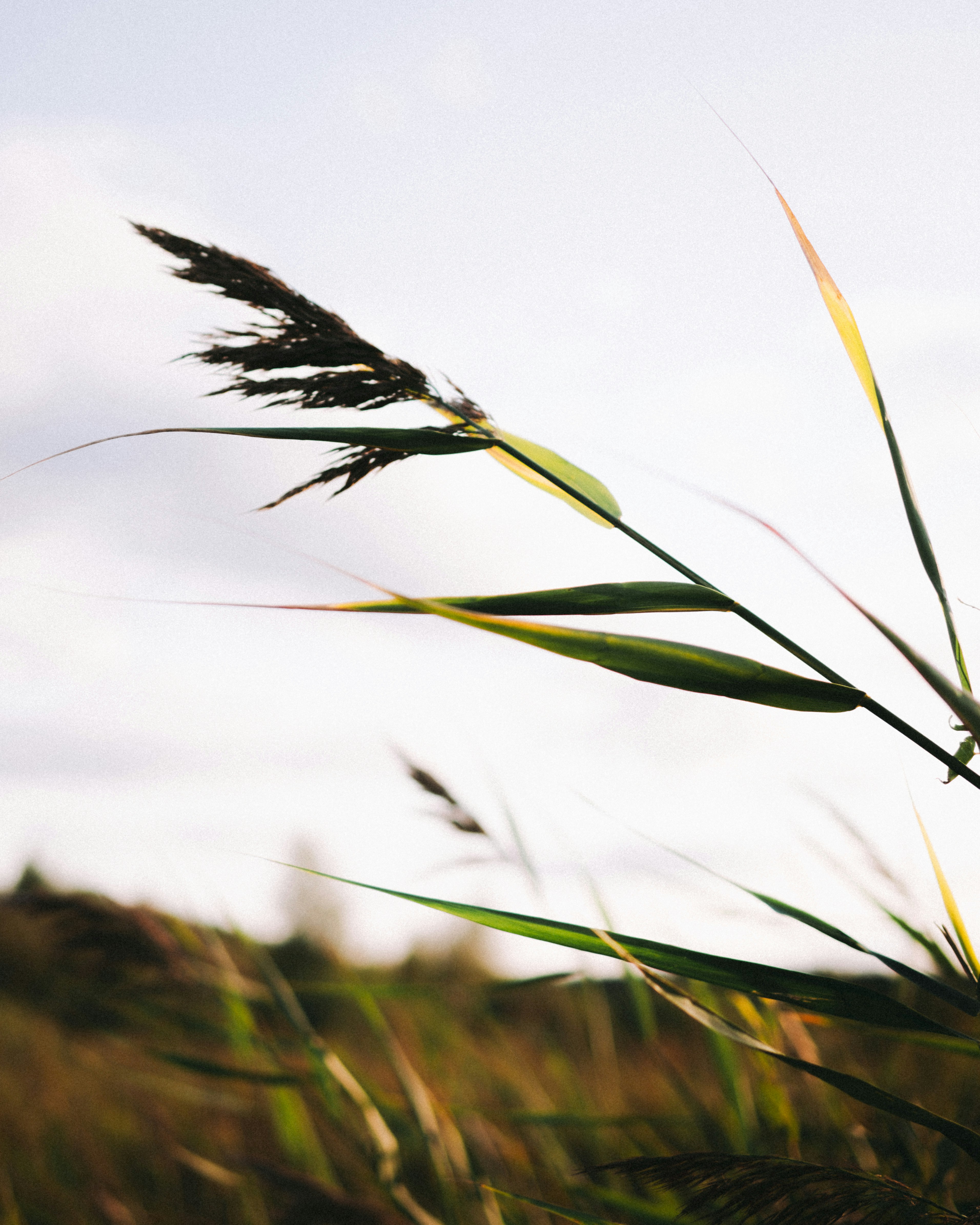 Photo by emlijaskrupska