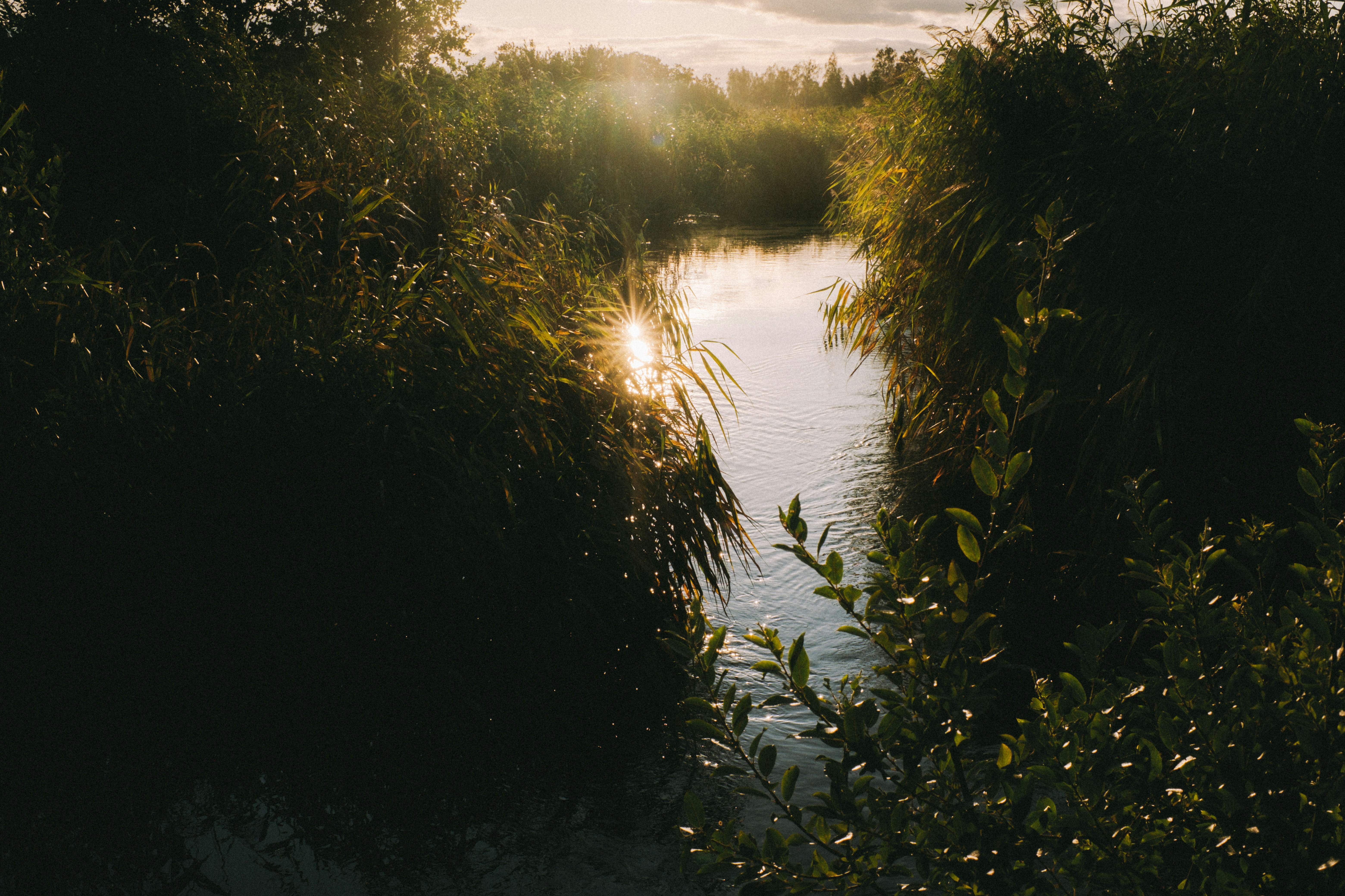 Photo by emlijaskrupska