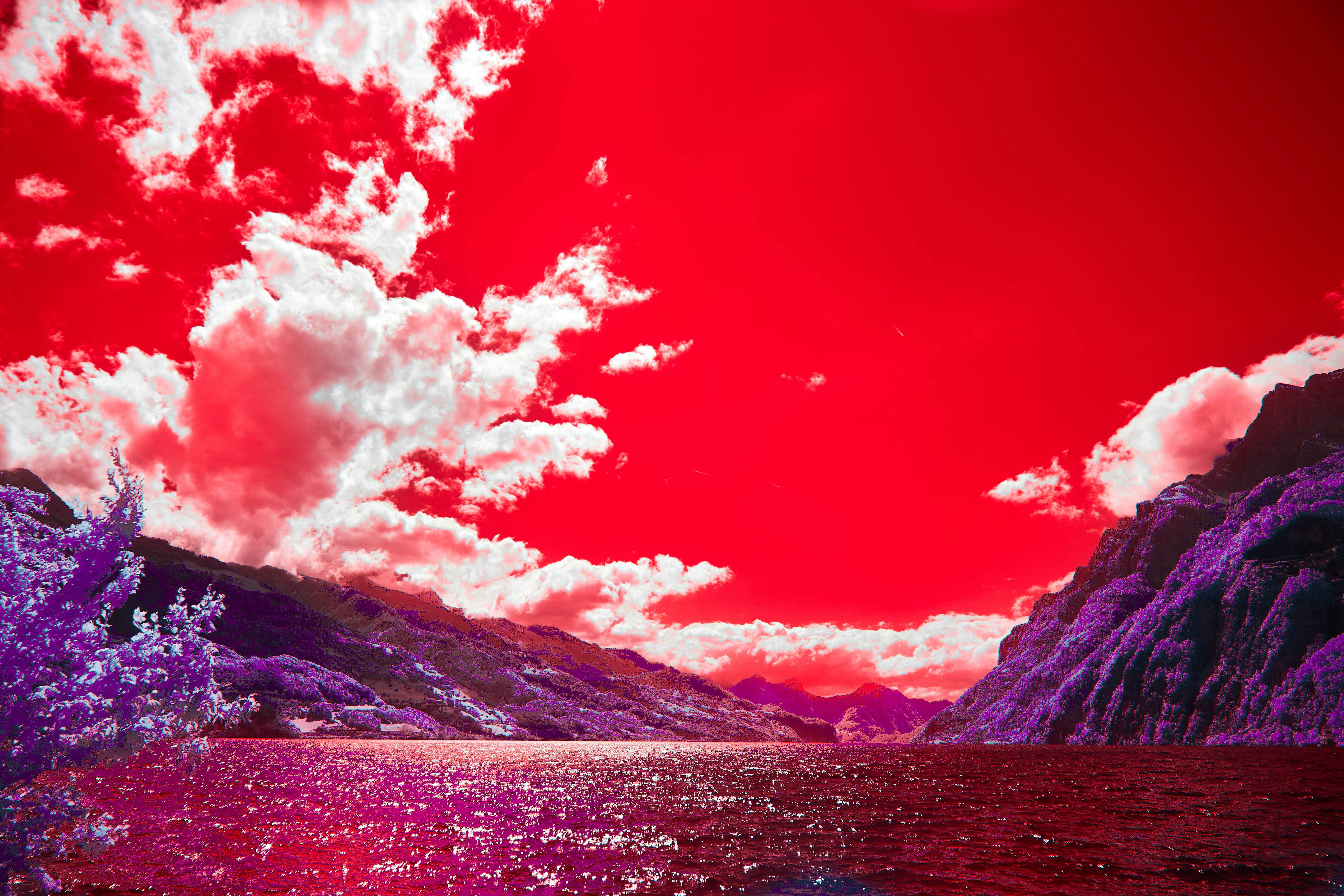 Photo by wolfgang_hasselmann