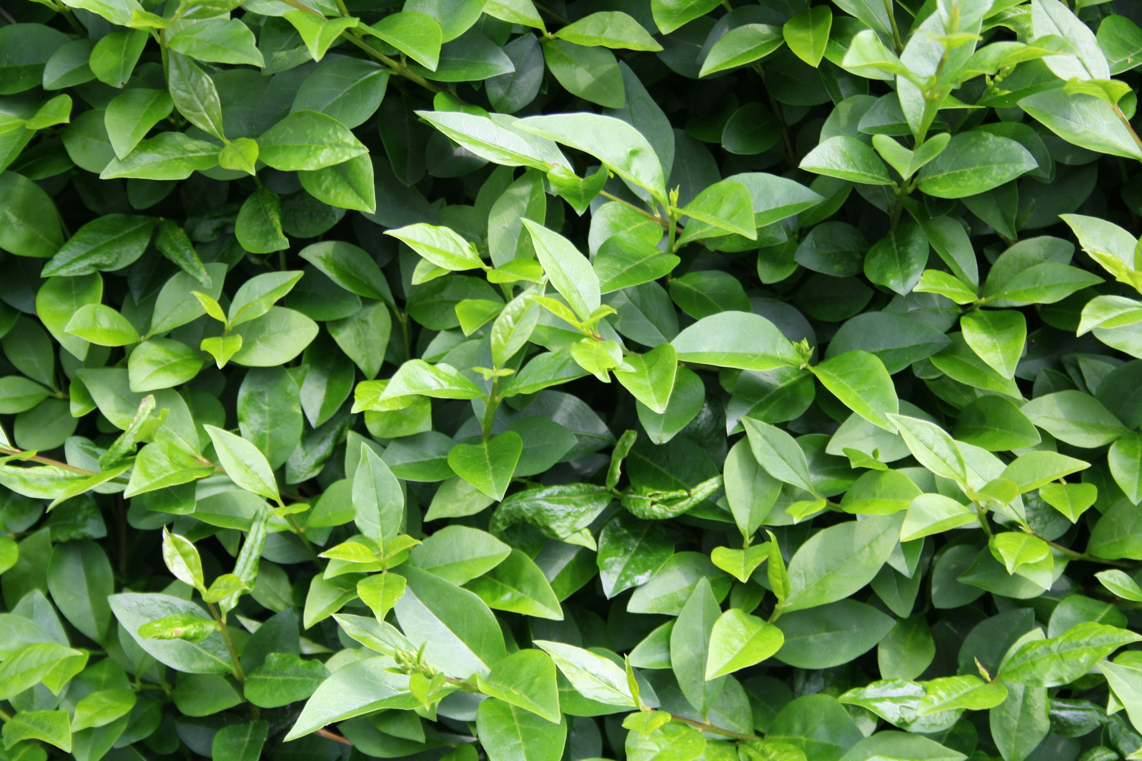 Photo by littlegemstudio