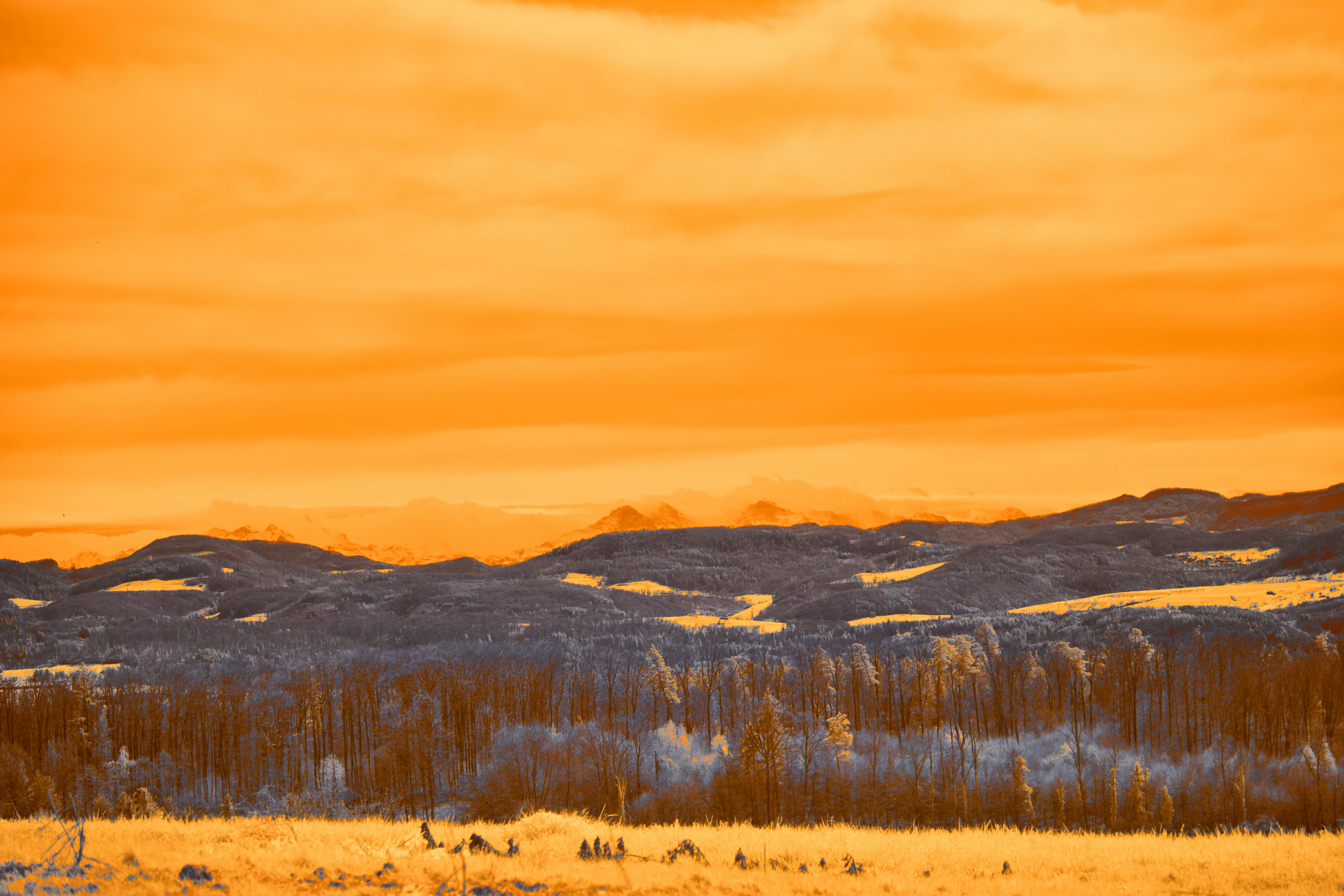 Photo by wolfgang_hasselmann