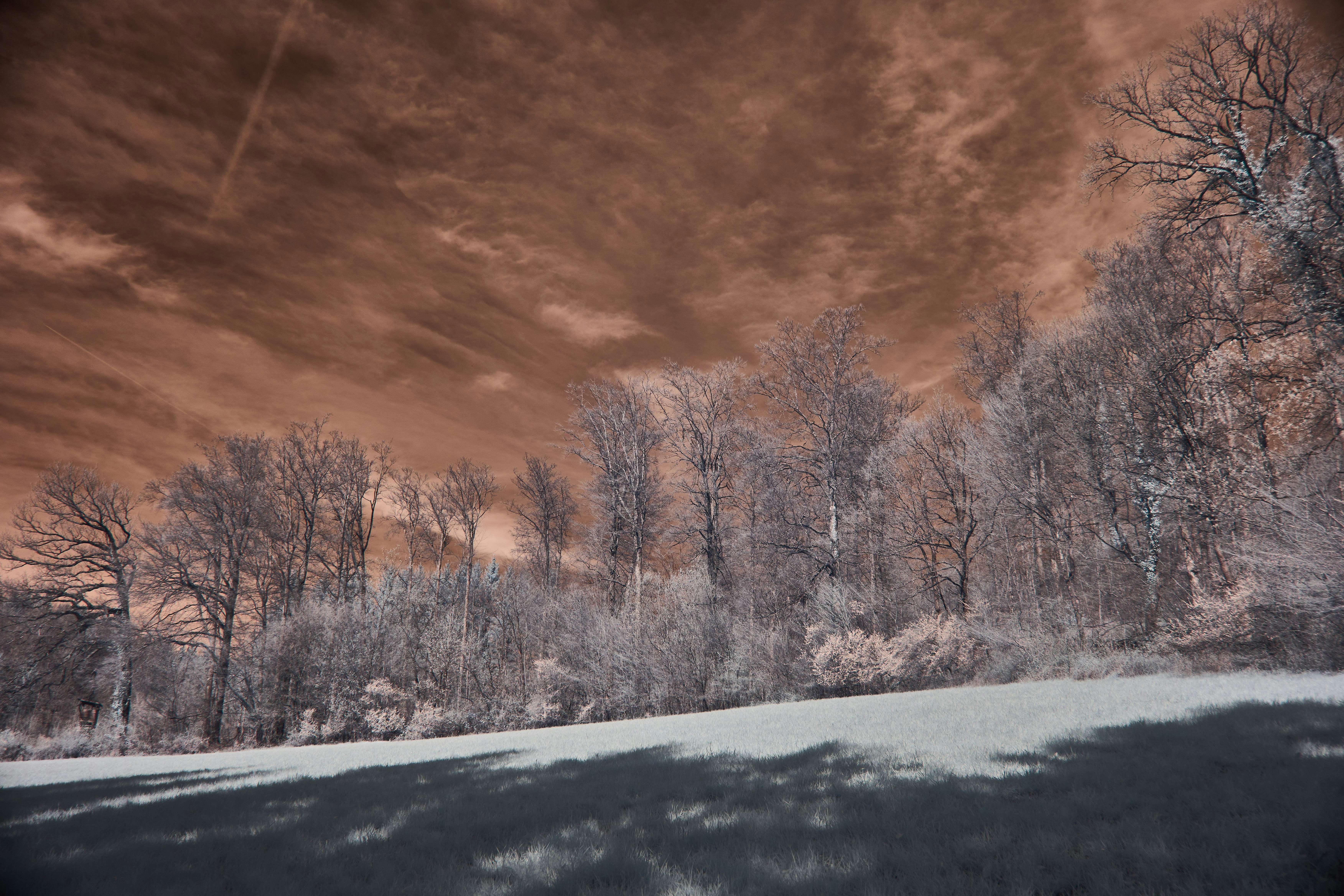 Photo by wolfgang_hasselmann