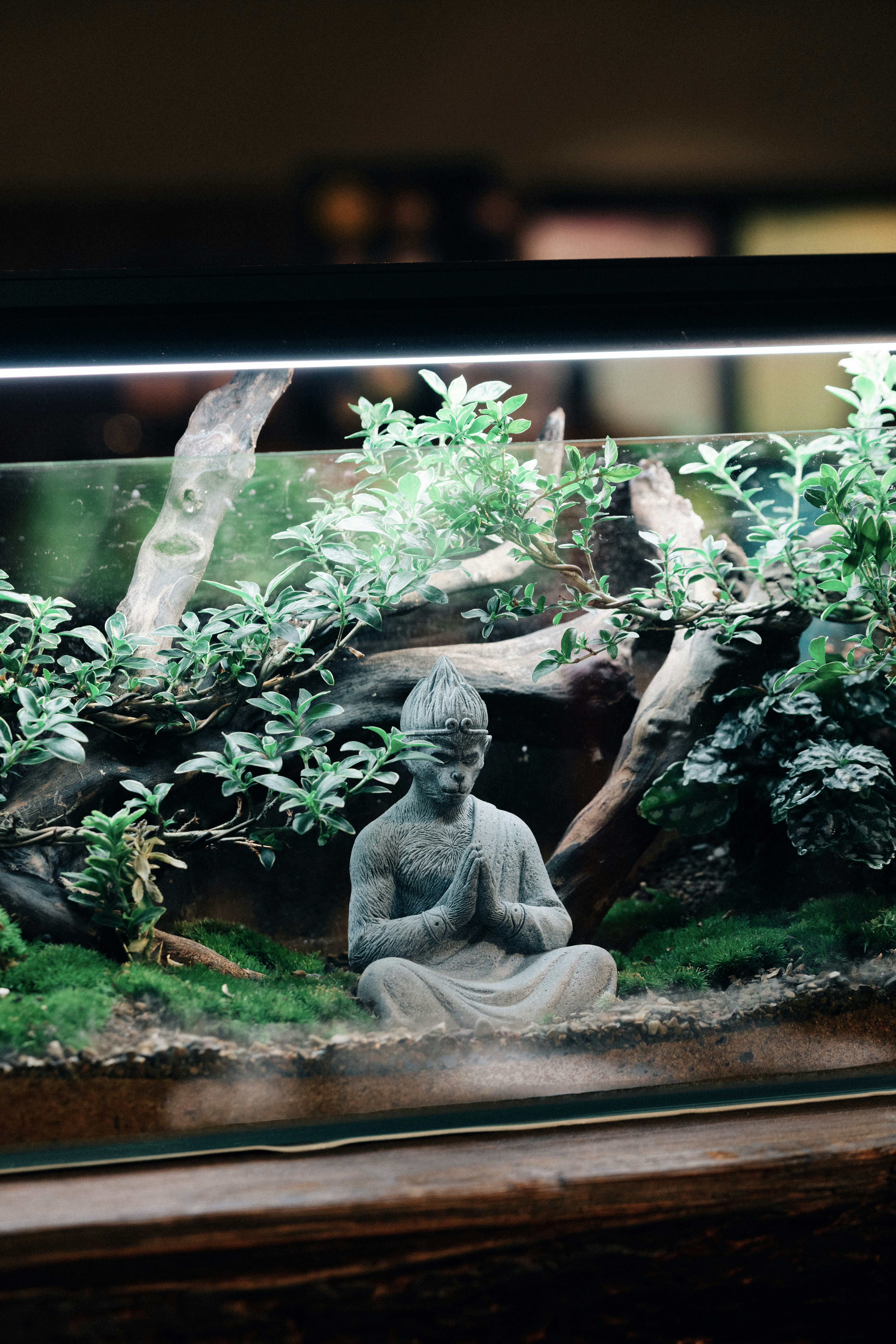 Photo by ooneiroslyl