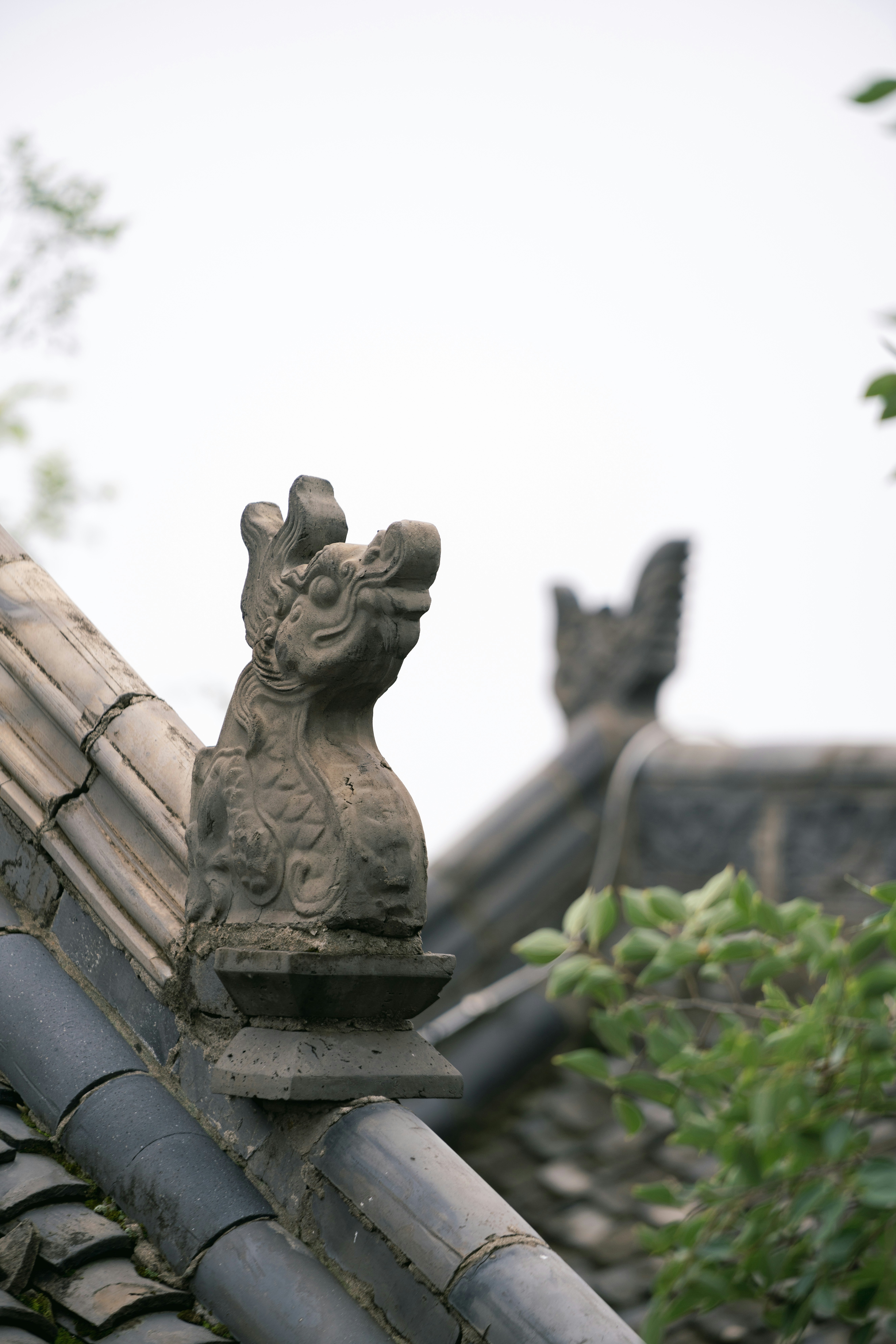 Photo by ooneiroslyl