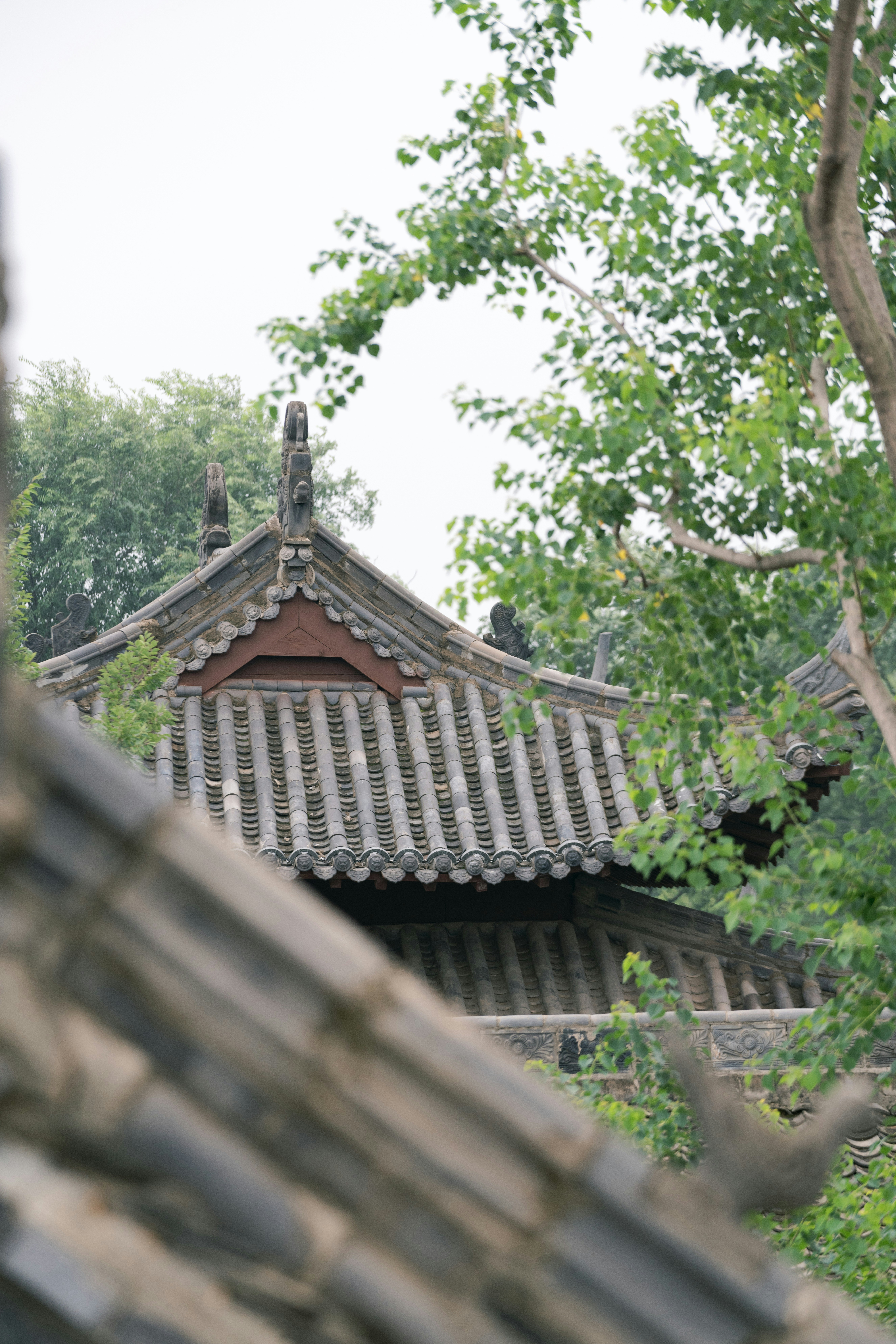 Photo by ooneiroslyl