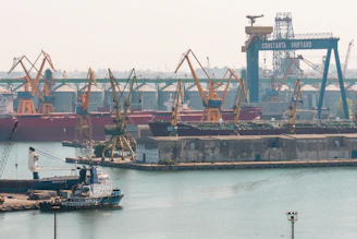 A harbor filled with lots of boats and cranes