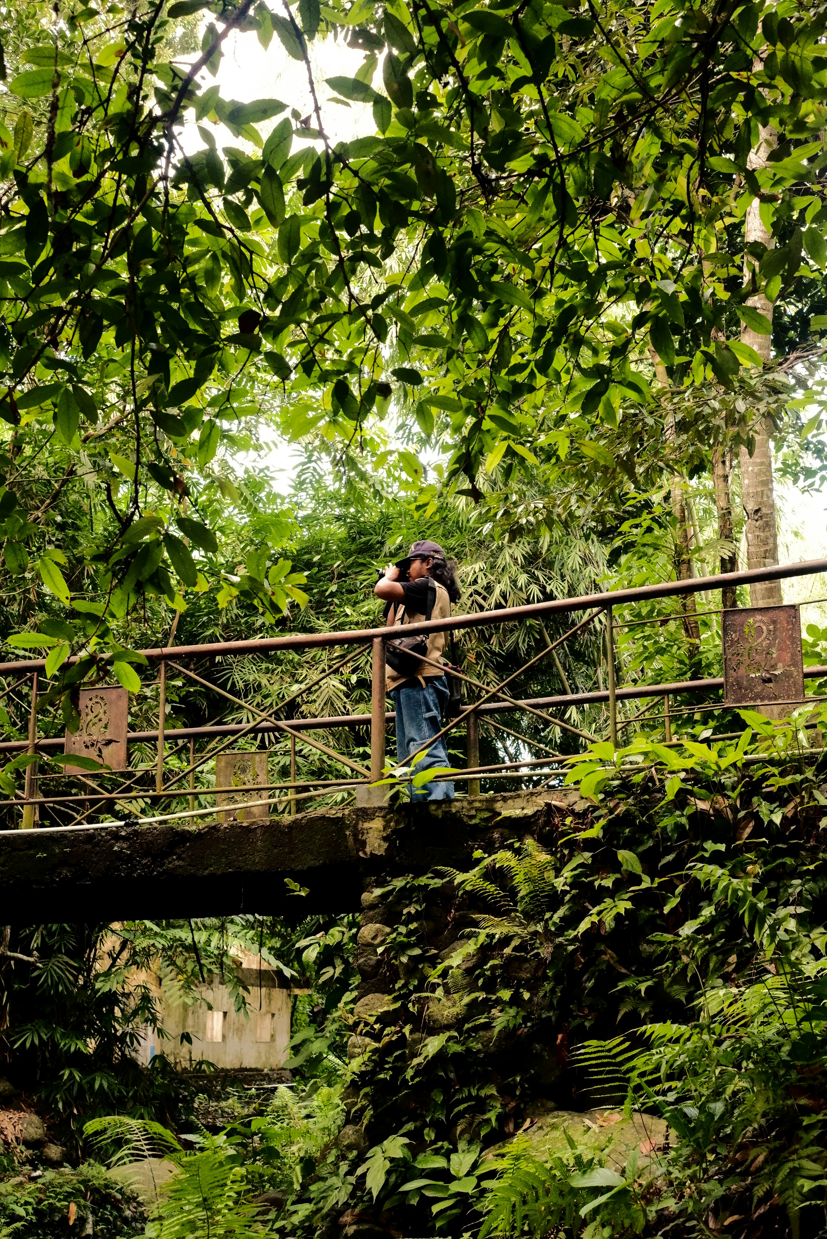 A man standing on a bridge in the middle of a forest