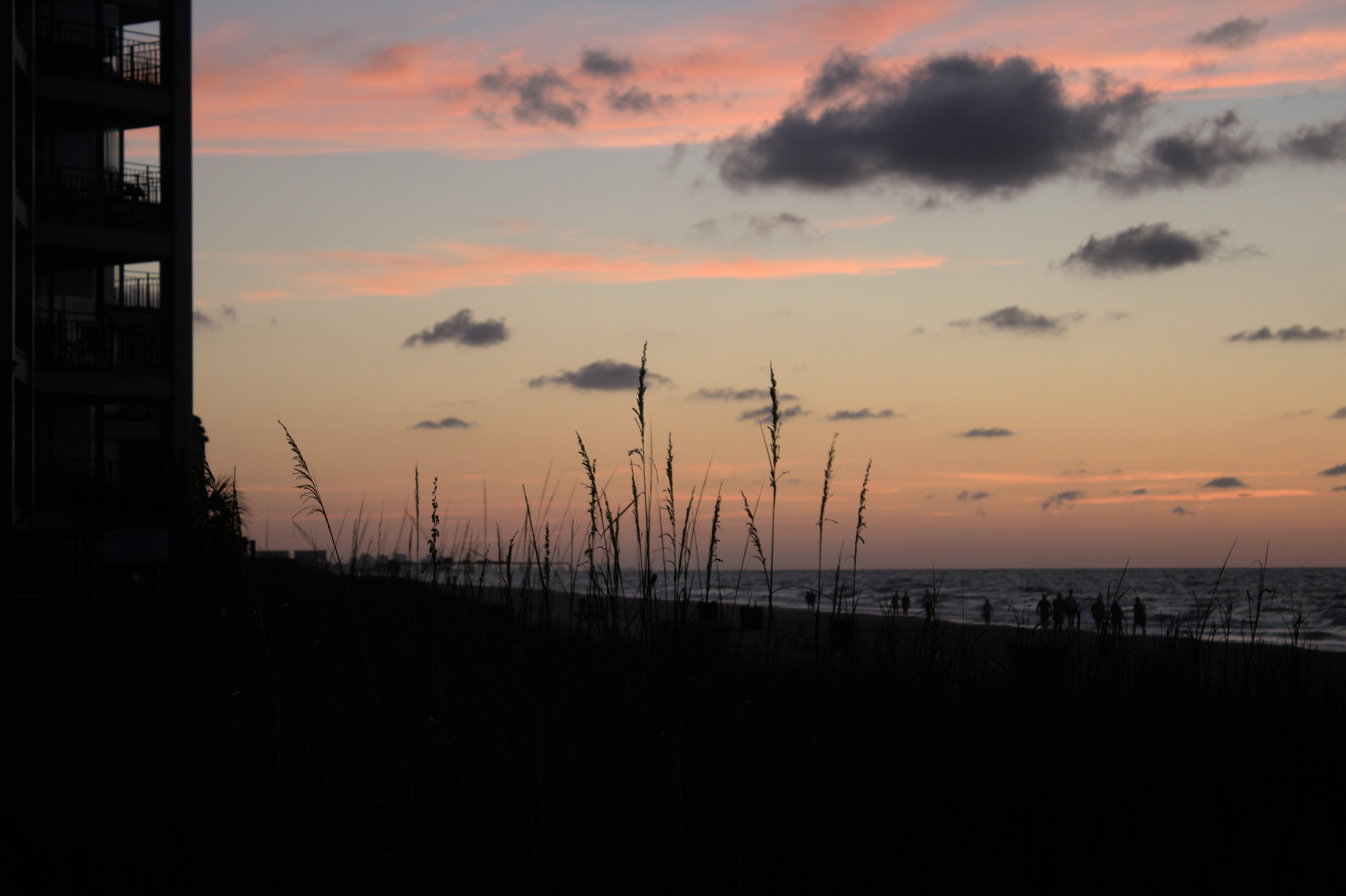 Photo by electricfam