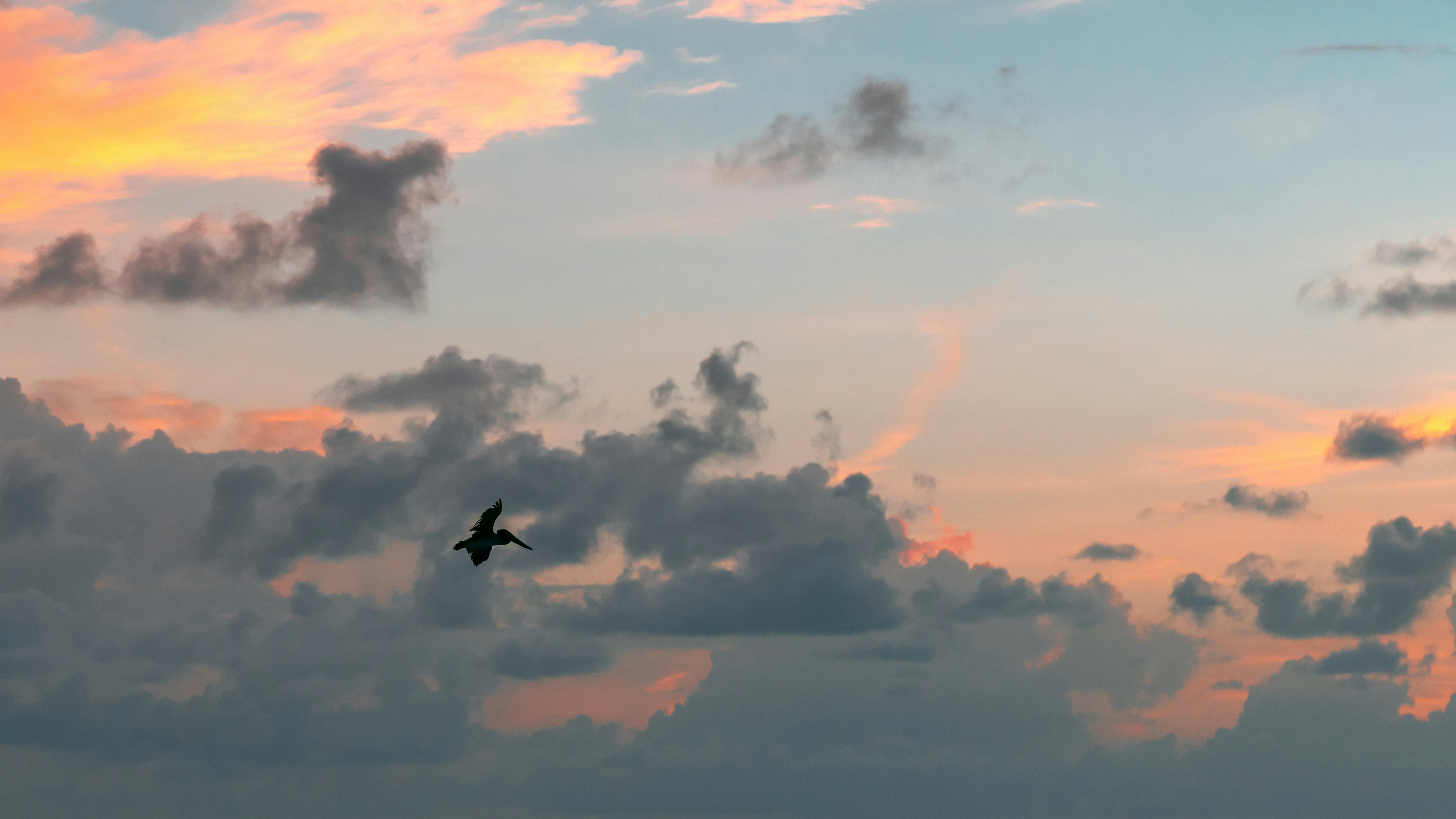 Photo by johnhollywood