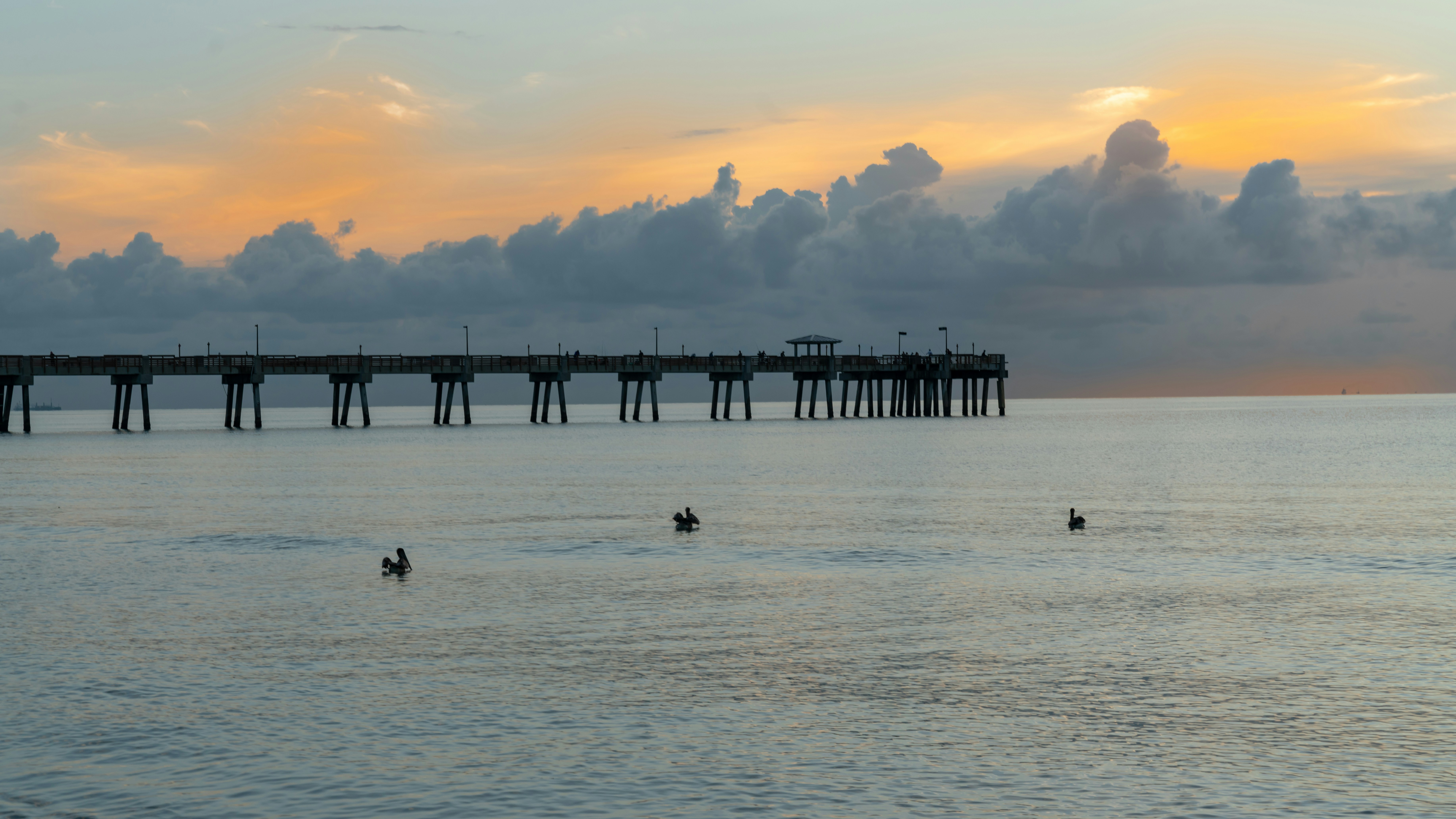 Photo by johnhollywood