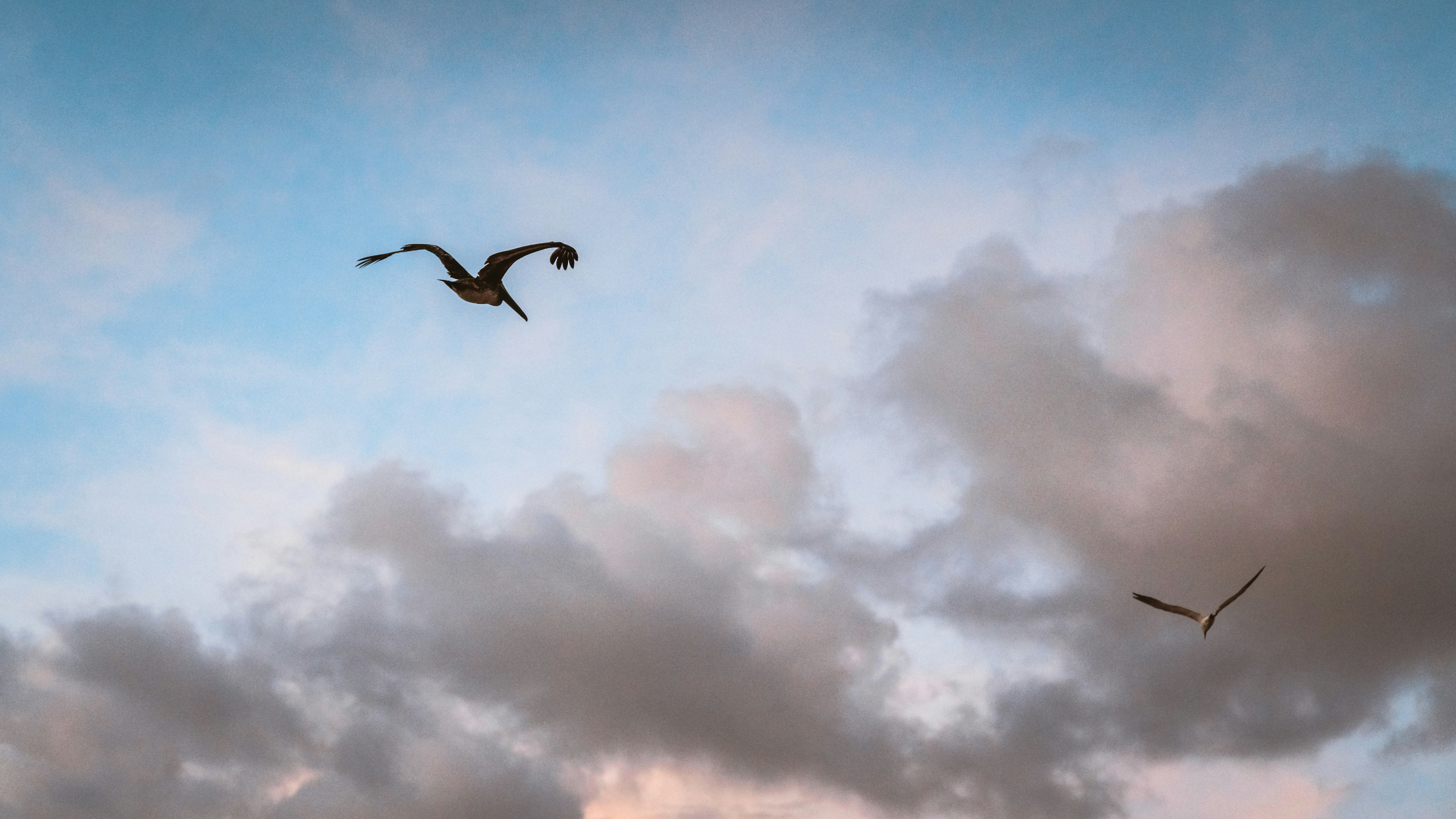 Photo by johnhollywood