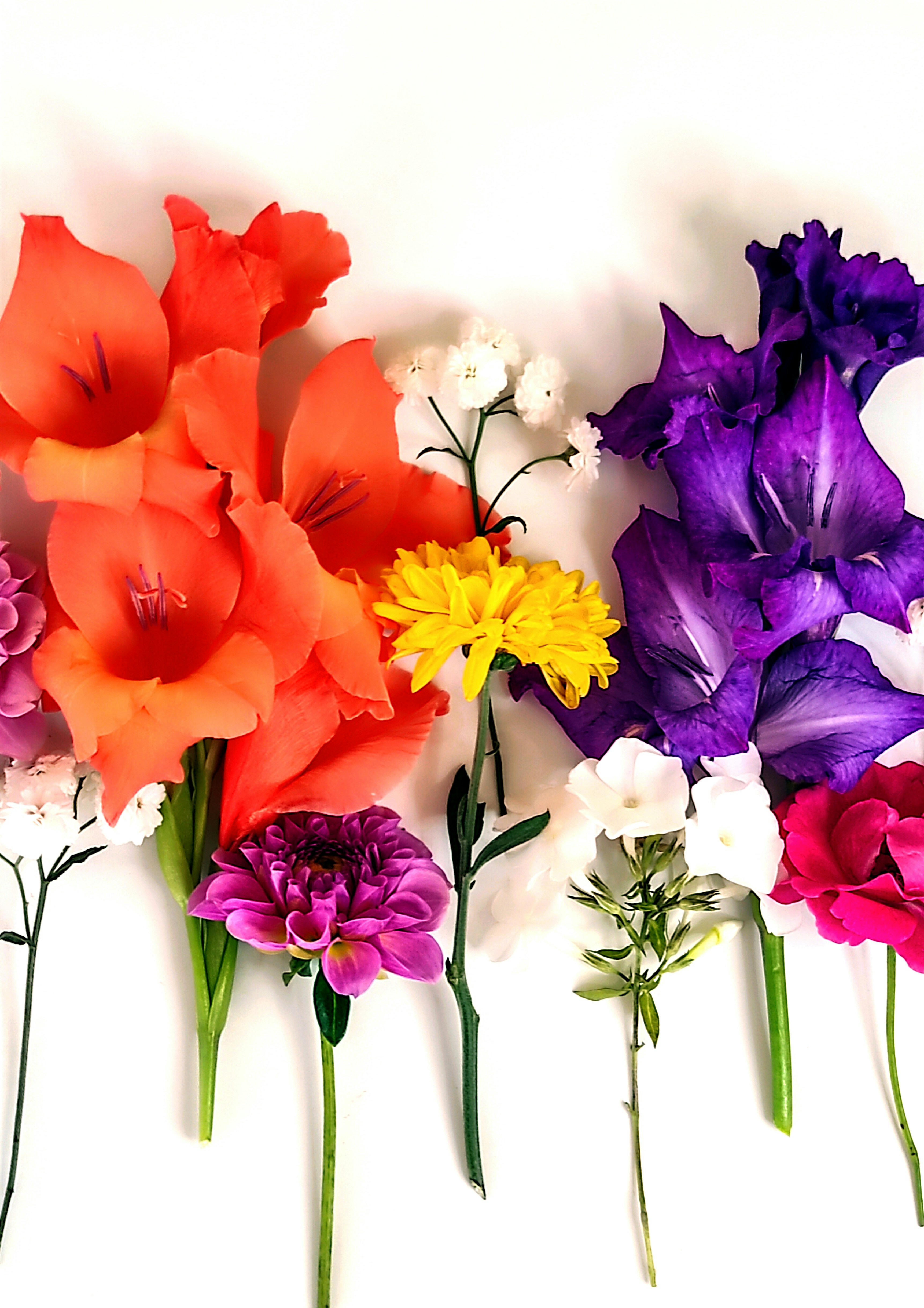 Photo by daniela_e_photography