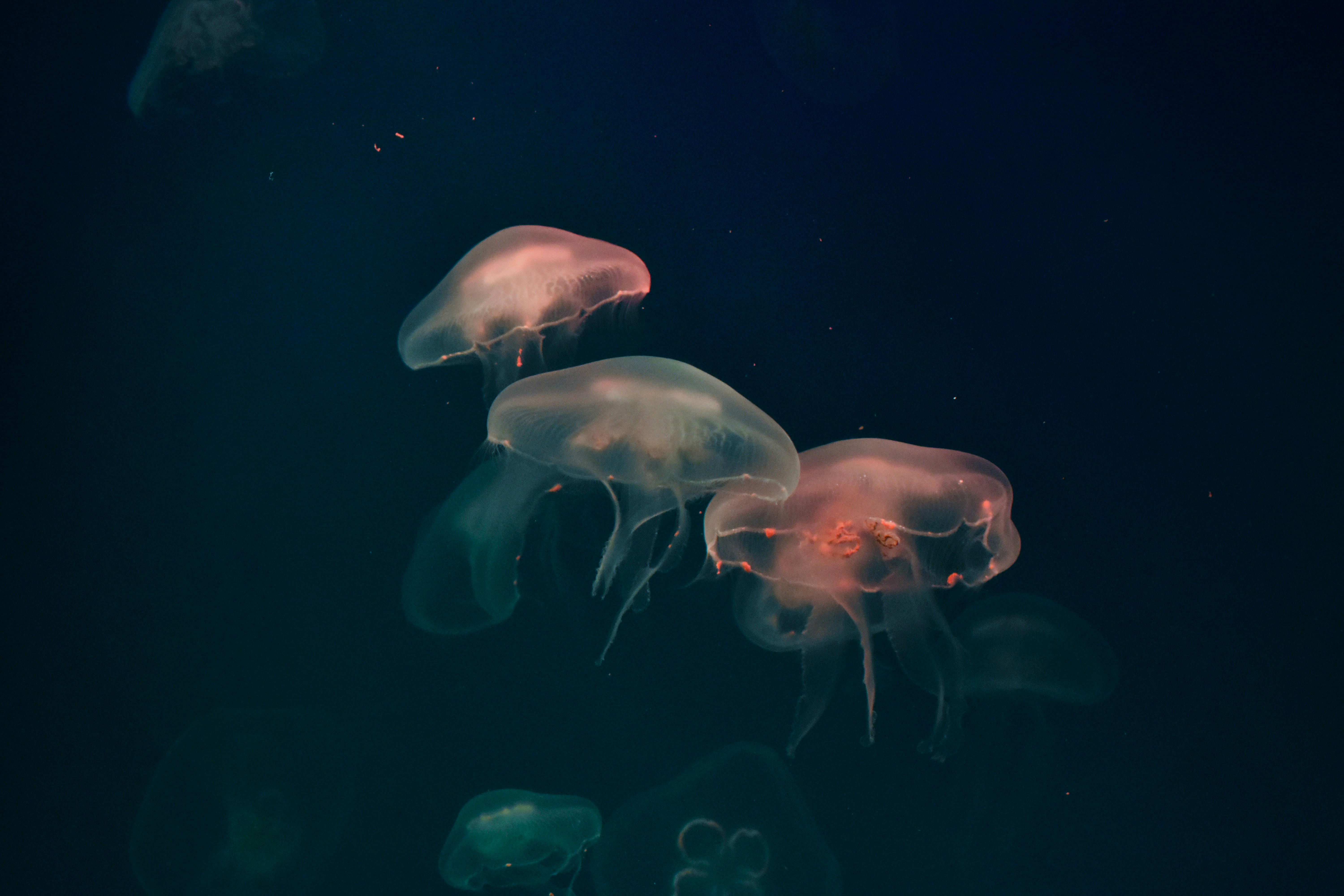 Photo by polina_grishma