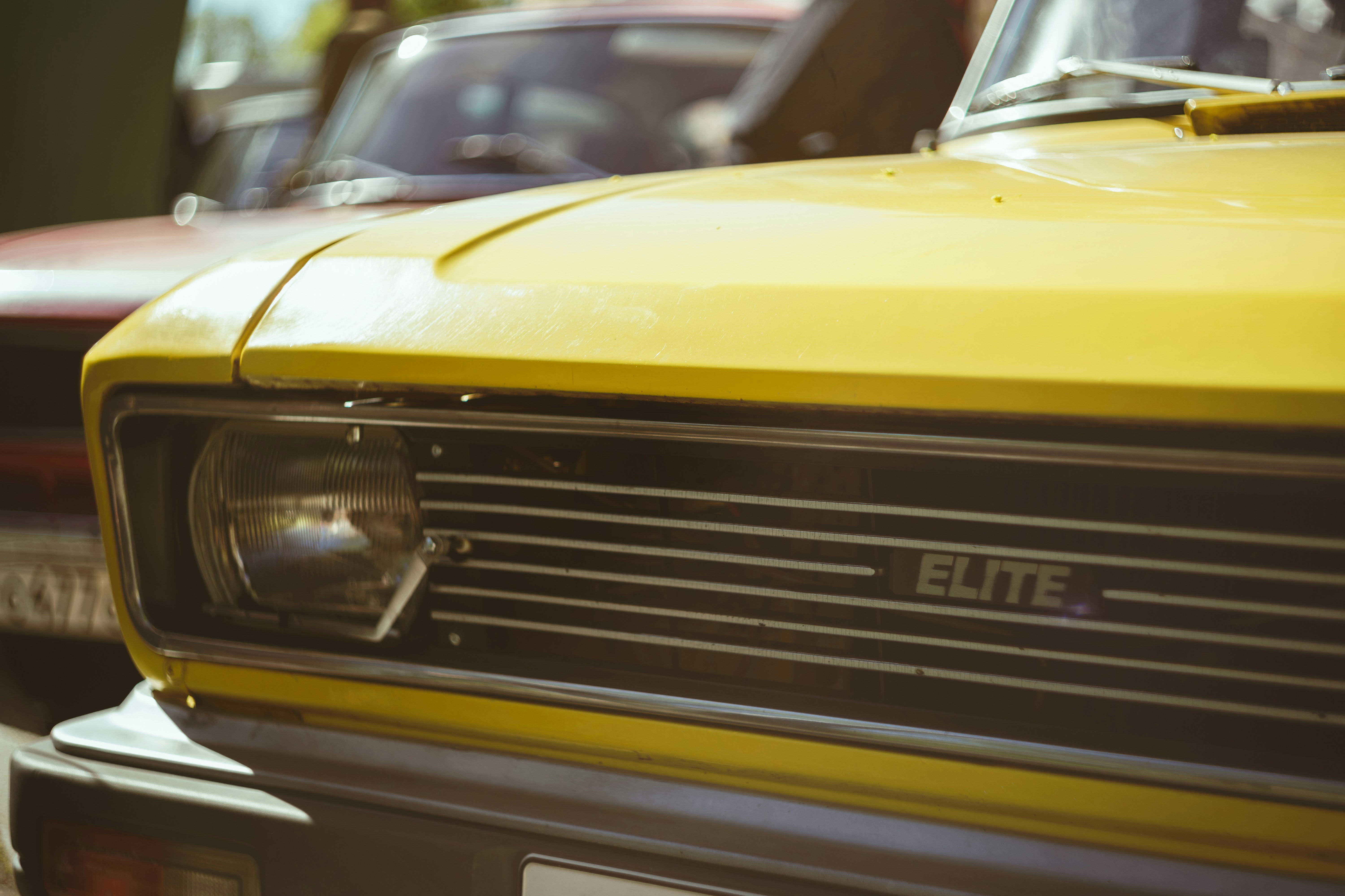 Photo by mirrors_are_more_fun