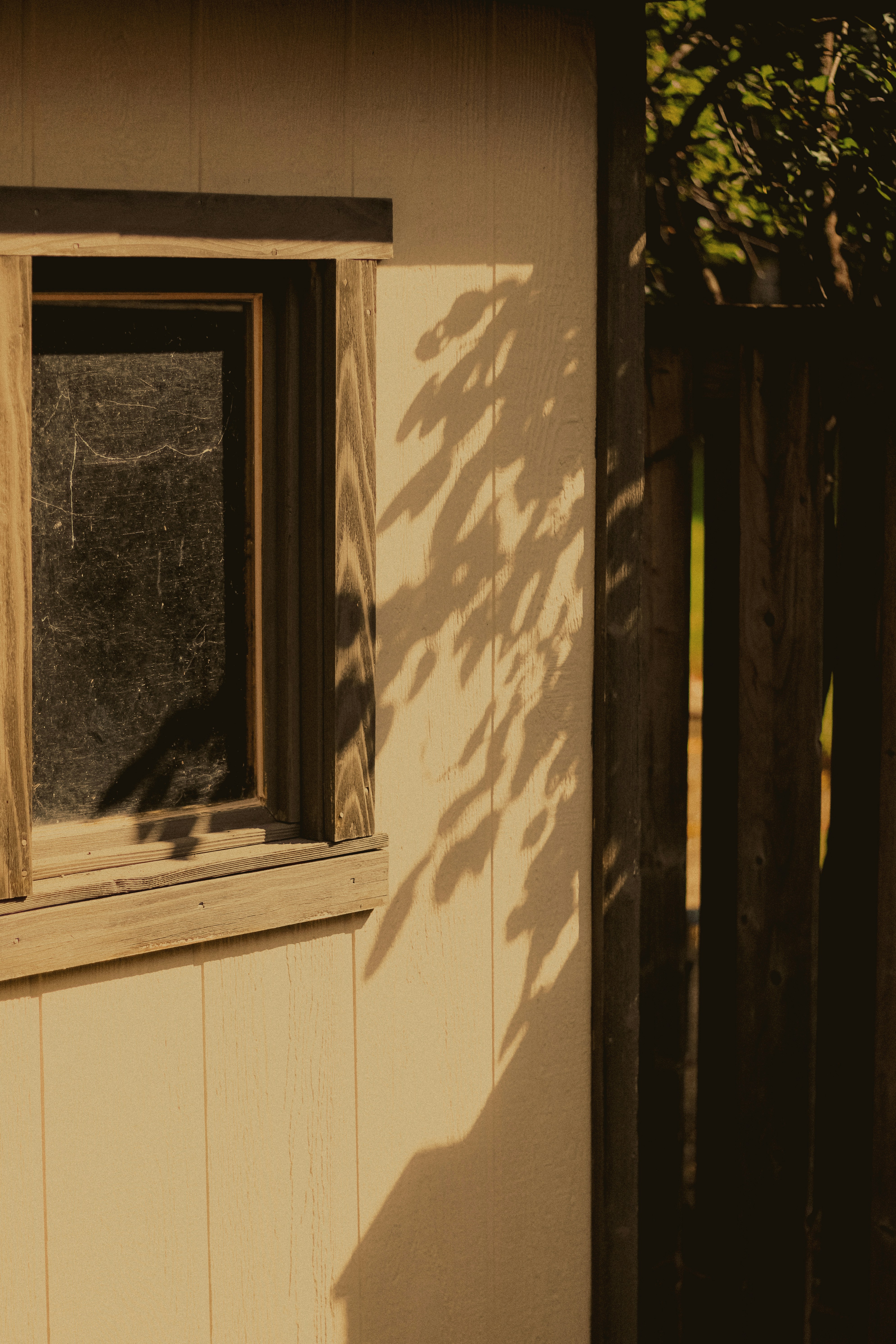 Photo by linusbelanger