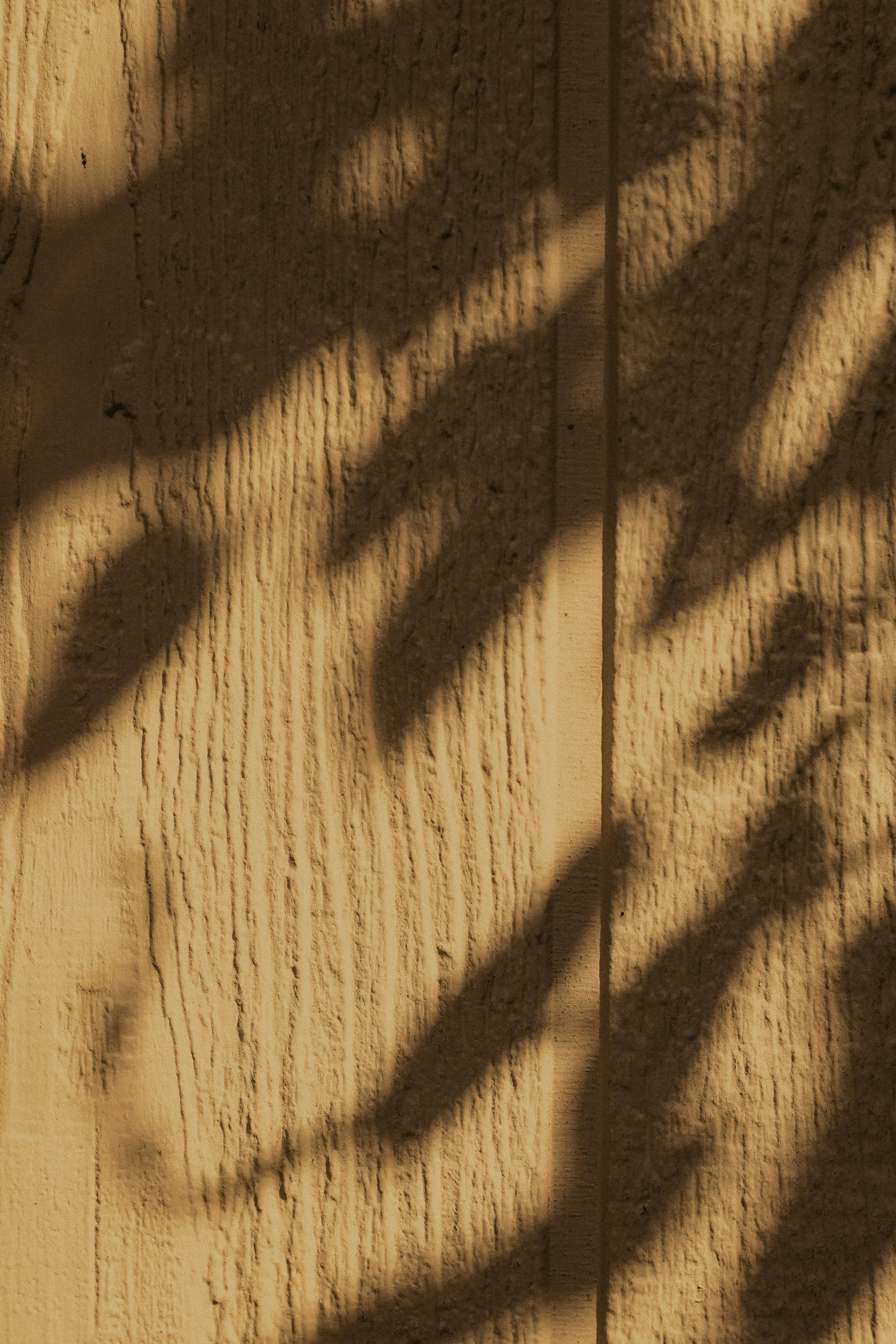 Photo by linusbelanger