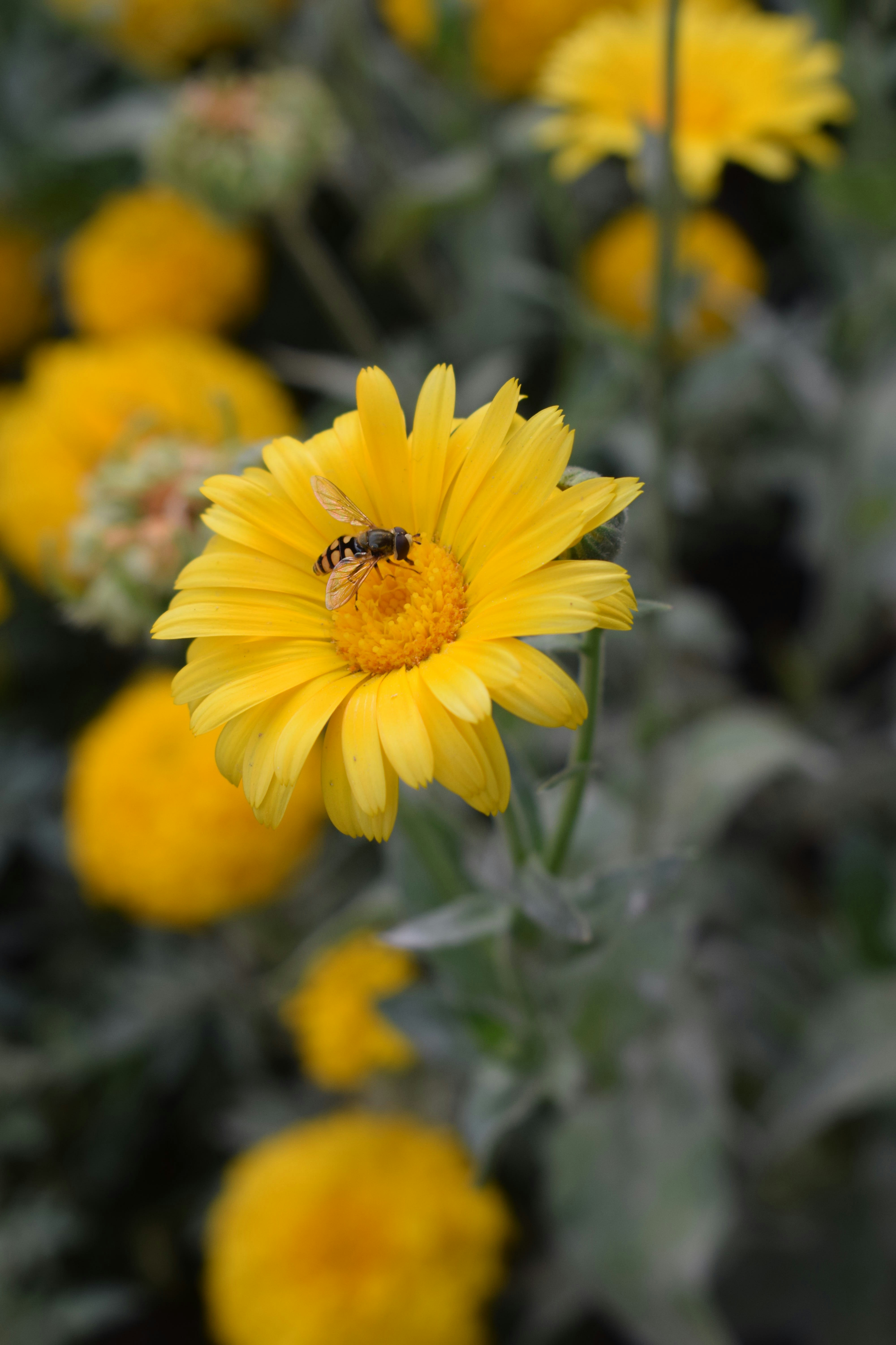 Photo by frame_focus