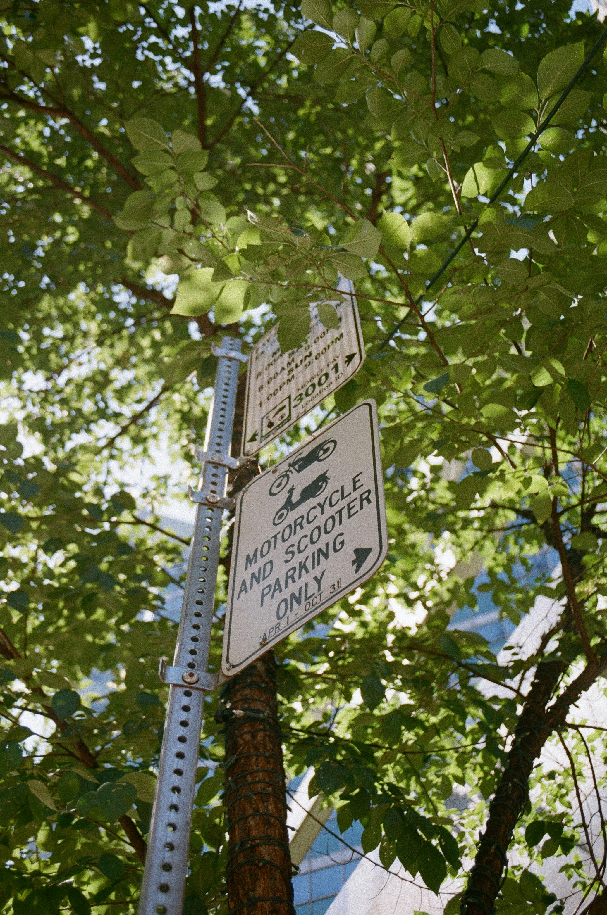 A street sign sitting on the side of a tree